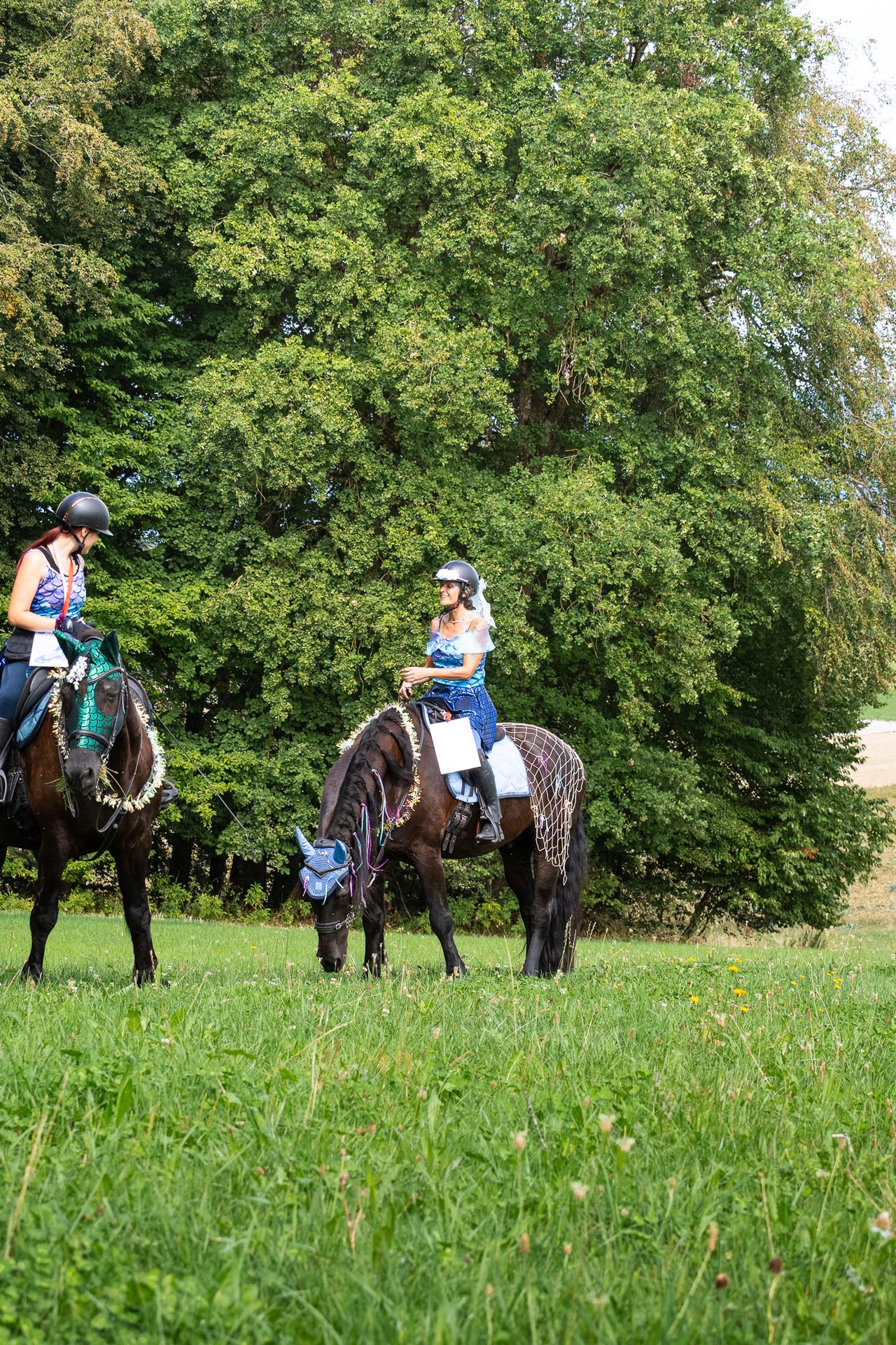 Horsestrail Combremont du 5 septembre 2026 — photo 195 du reportage PawsOnTrack