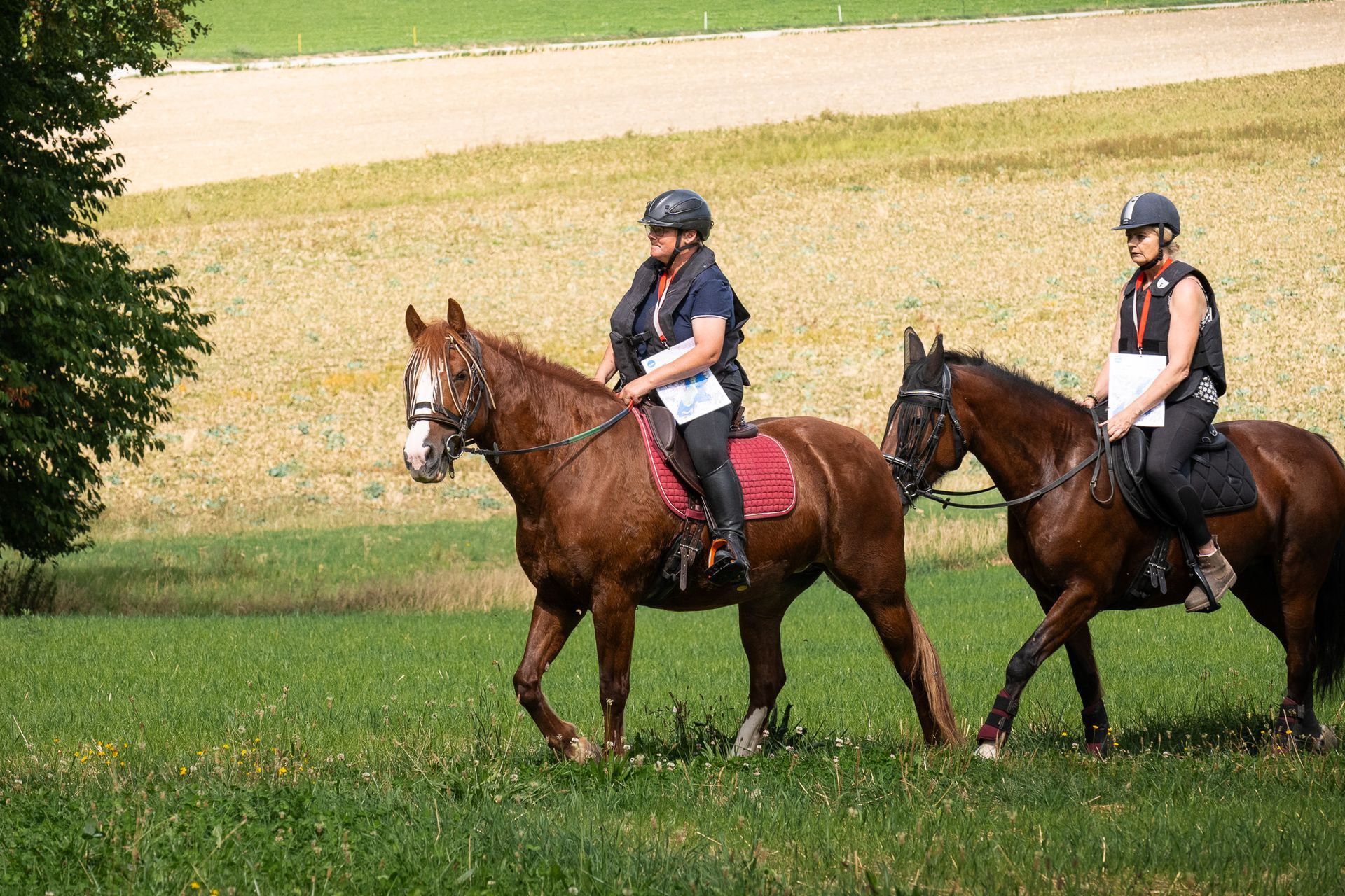 Horsestrail Combremont du 5 septembre 2026 — photo 20 du reportage PawsOnTrack