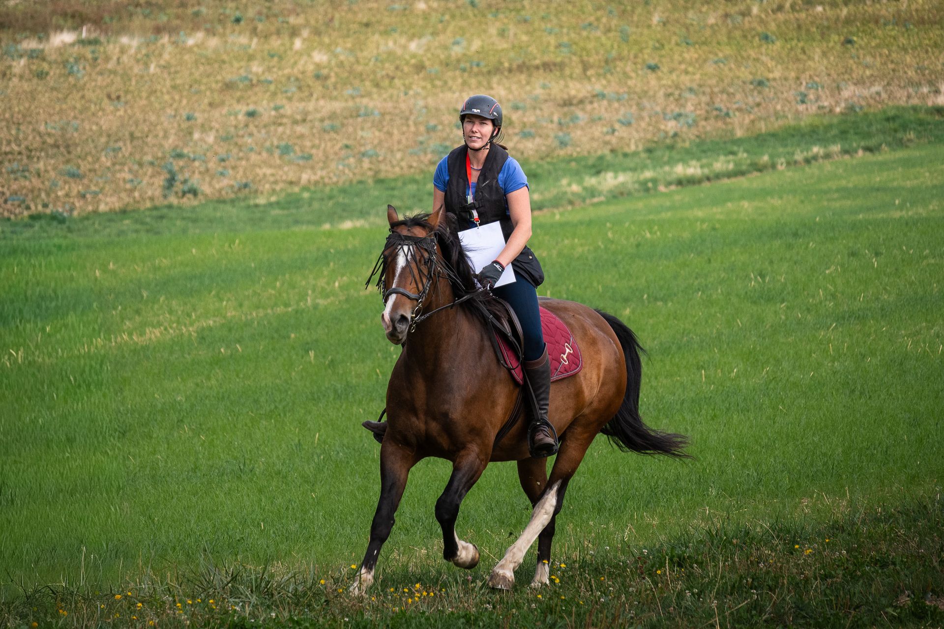 Horsestrail Combremont du 5 septembre 2026 — photo 4 du reportage PawsOnTrack