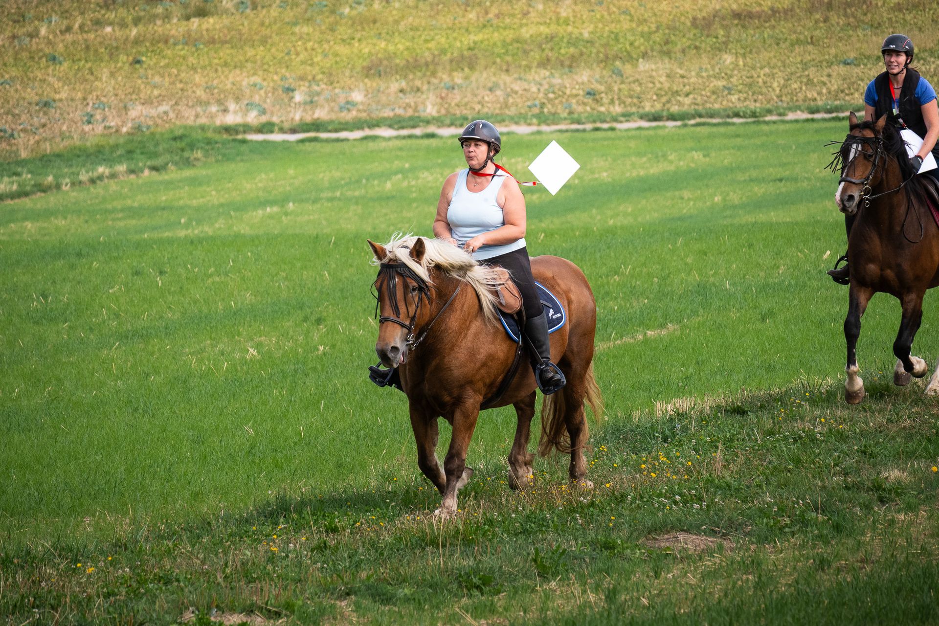 Horsestrail Combremont du 5 septembre 2026 — photo 10 du reportage PawsOnTrack
