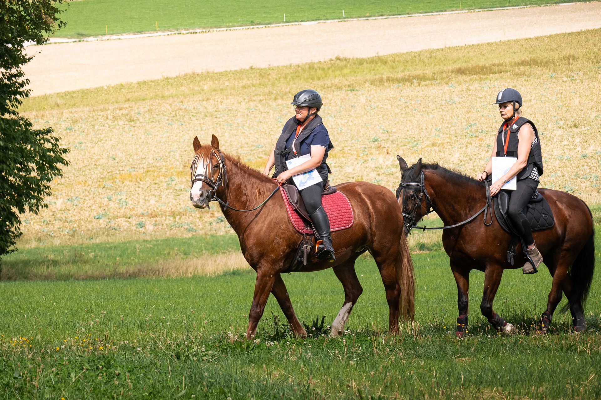 Horsestrail Combremont du 5 septembre 2026 — photo 23 du reportage PawsOnTrack