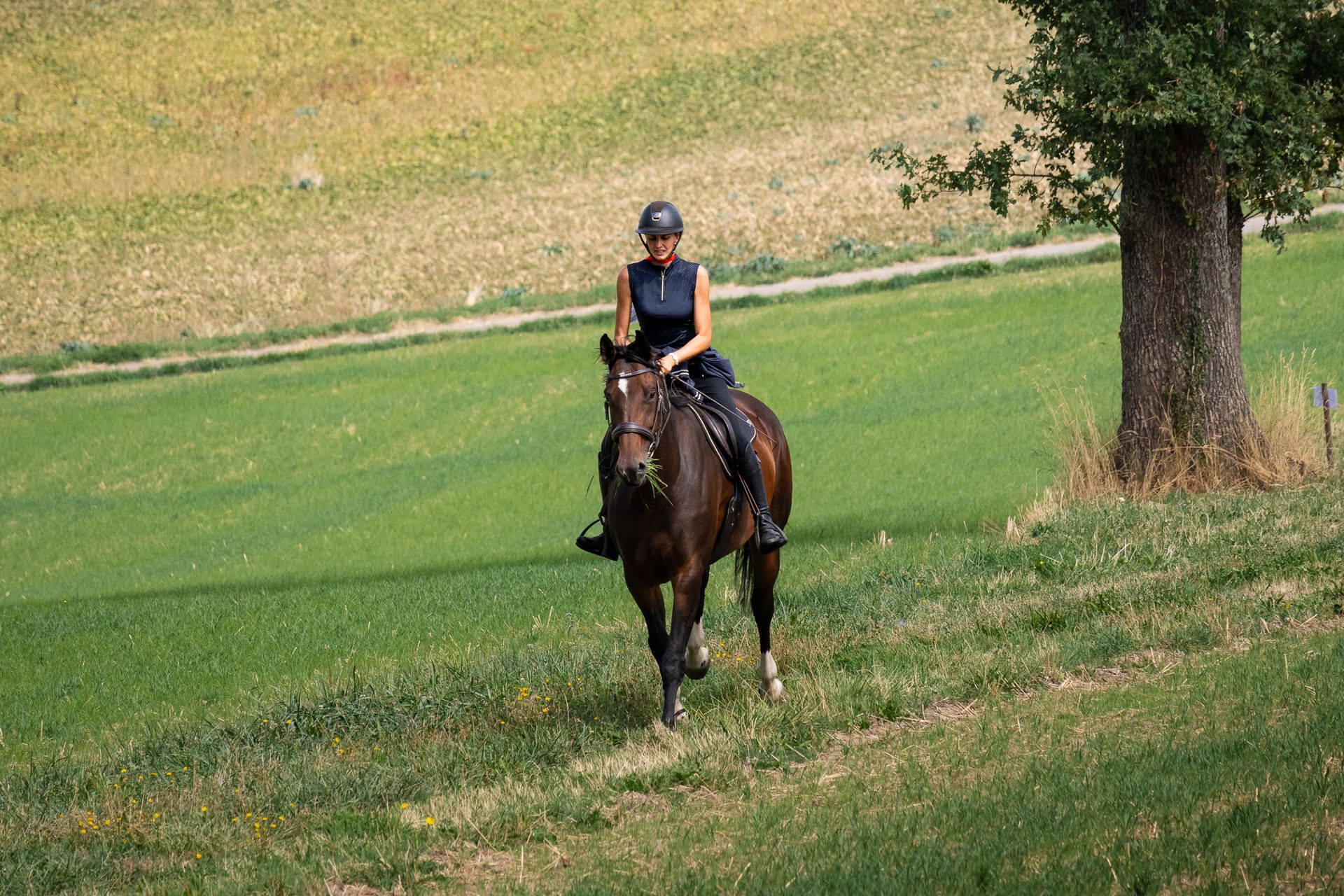 Horsestrail Combremont du 5 septembre 2026 — photo 26 du reportage PawsOnTrack
