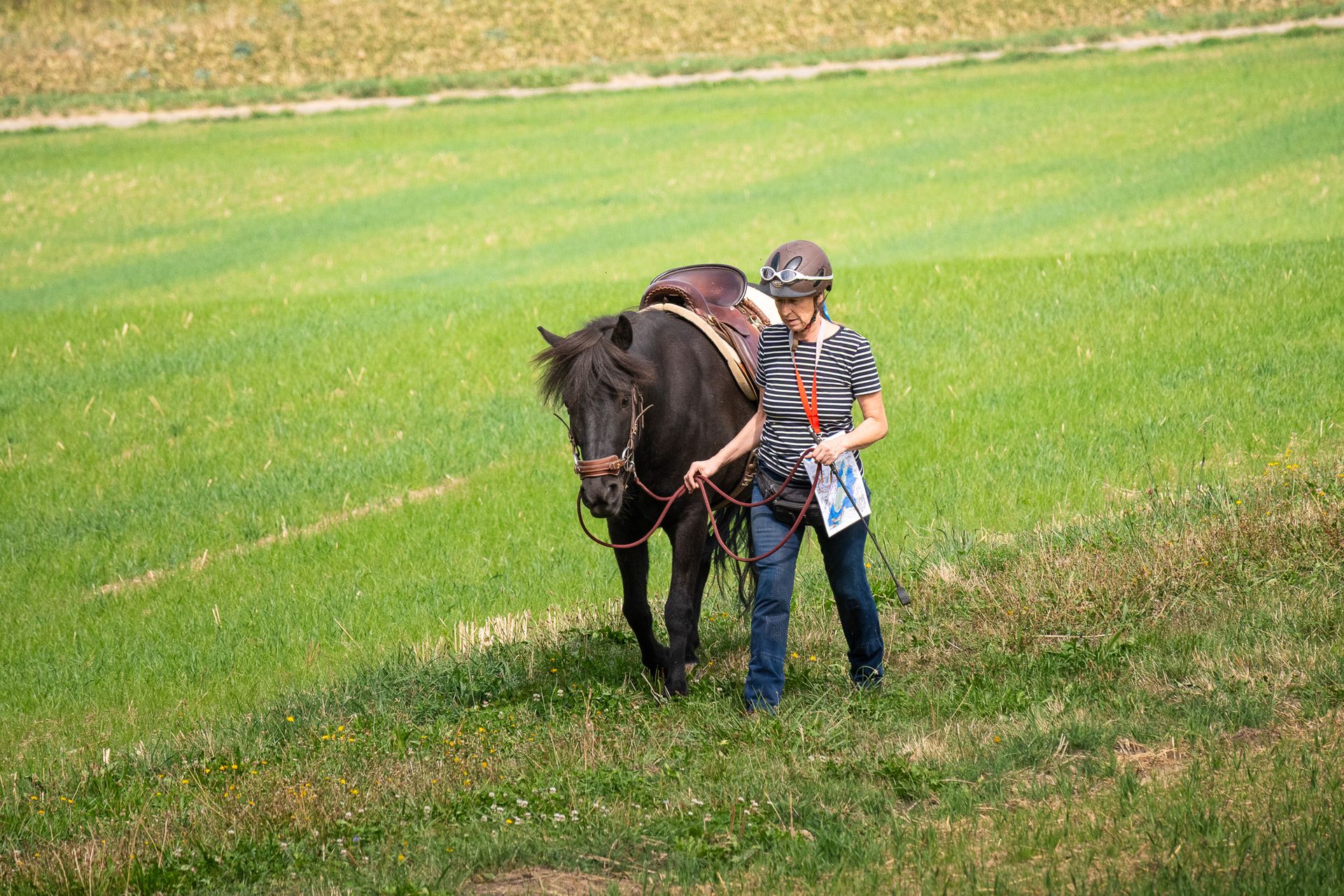 Horsestrail Combremont du 5 septembre 2026 — photo 29 du reportage PawsOnTrack