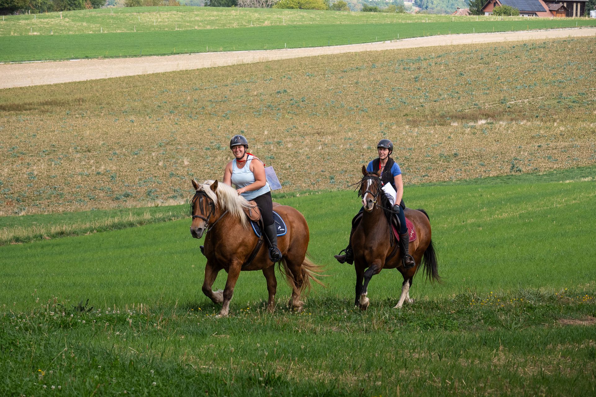 Horsestrail Combremont du 5 septembre 2026 — photo 35 du reportage PawsOnTrack