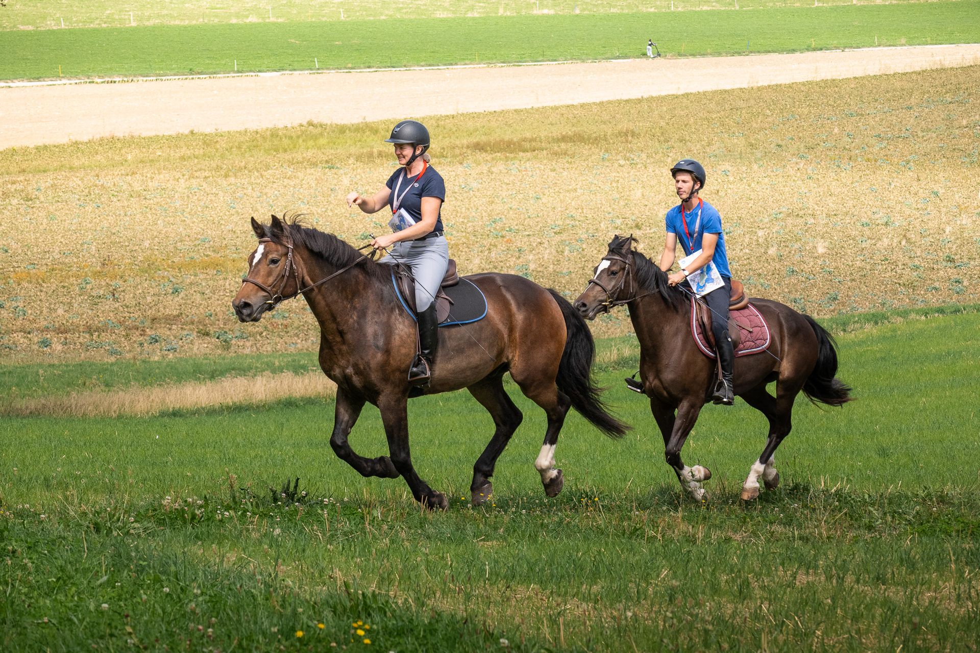 Horsestrail Combremont du 5 septembre 2026 — photo 38 du reportage PawsOnTrack