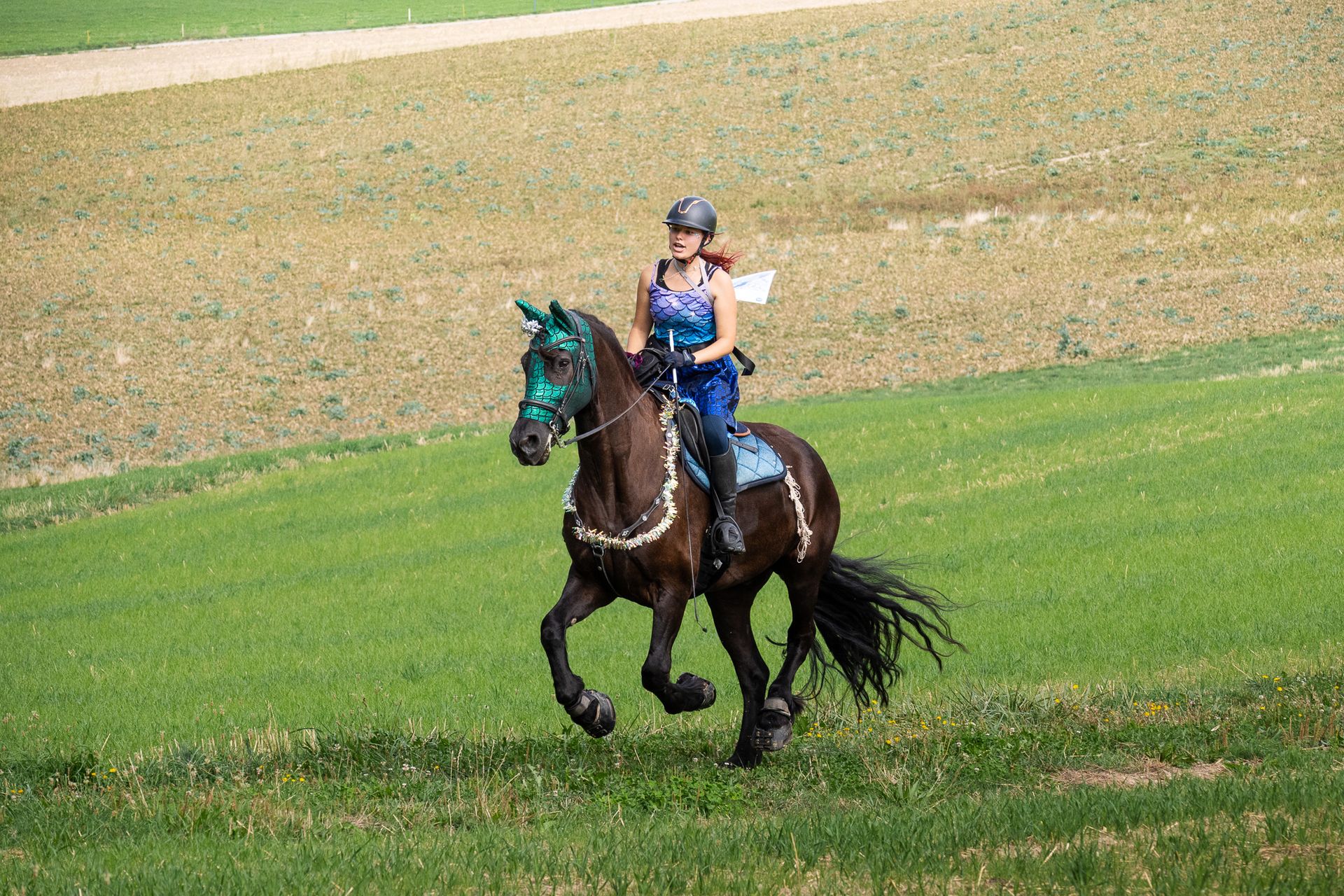 Horsestrail Combremont du 5 septembre 2026 — photo 44 du reportage PawsOnTrack