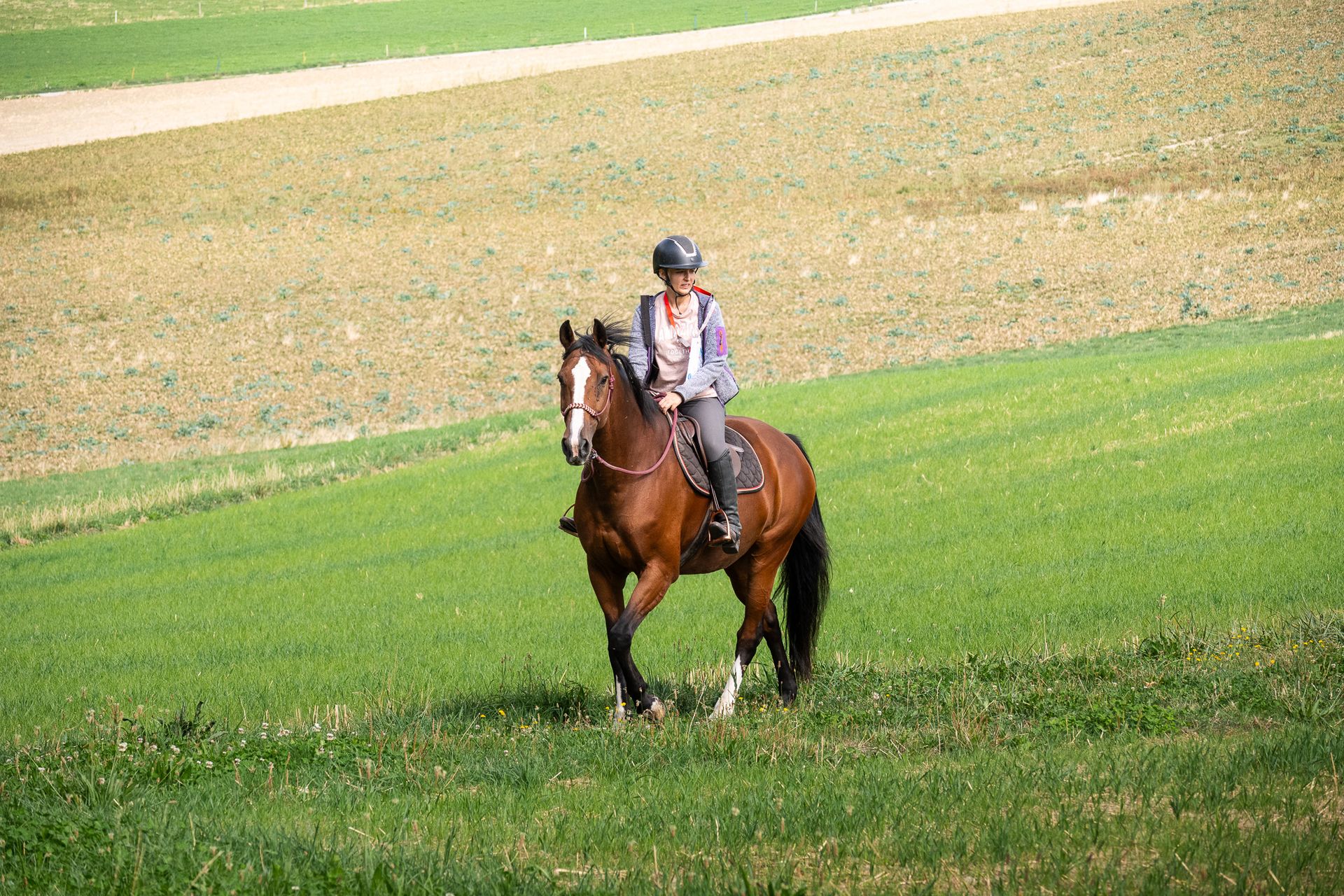 Horsestrail Combremont du 5 septembre 2026 — photo 59 du reportage PawsOnTrack