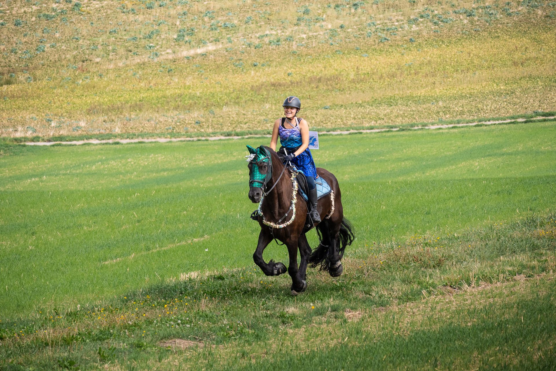 Horsestrail Combremont du 5 septembre 2026 — photo 62 du reportage PawsOnTrack