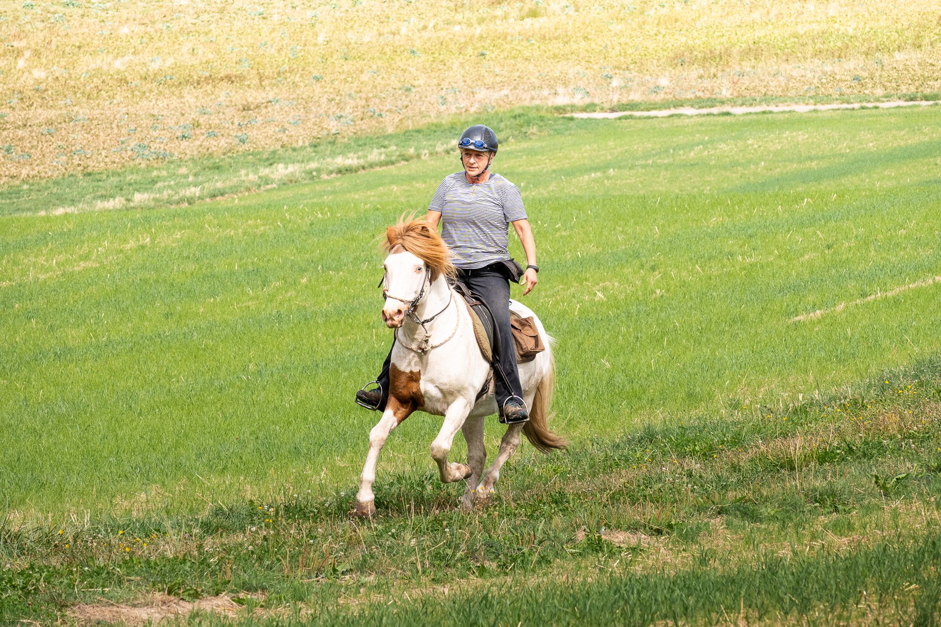 Horsestrail Combremont du 5 septembre 2026 — photo 113 du reportage PawsOnTrack