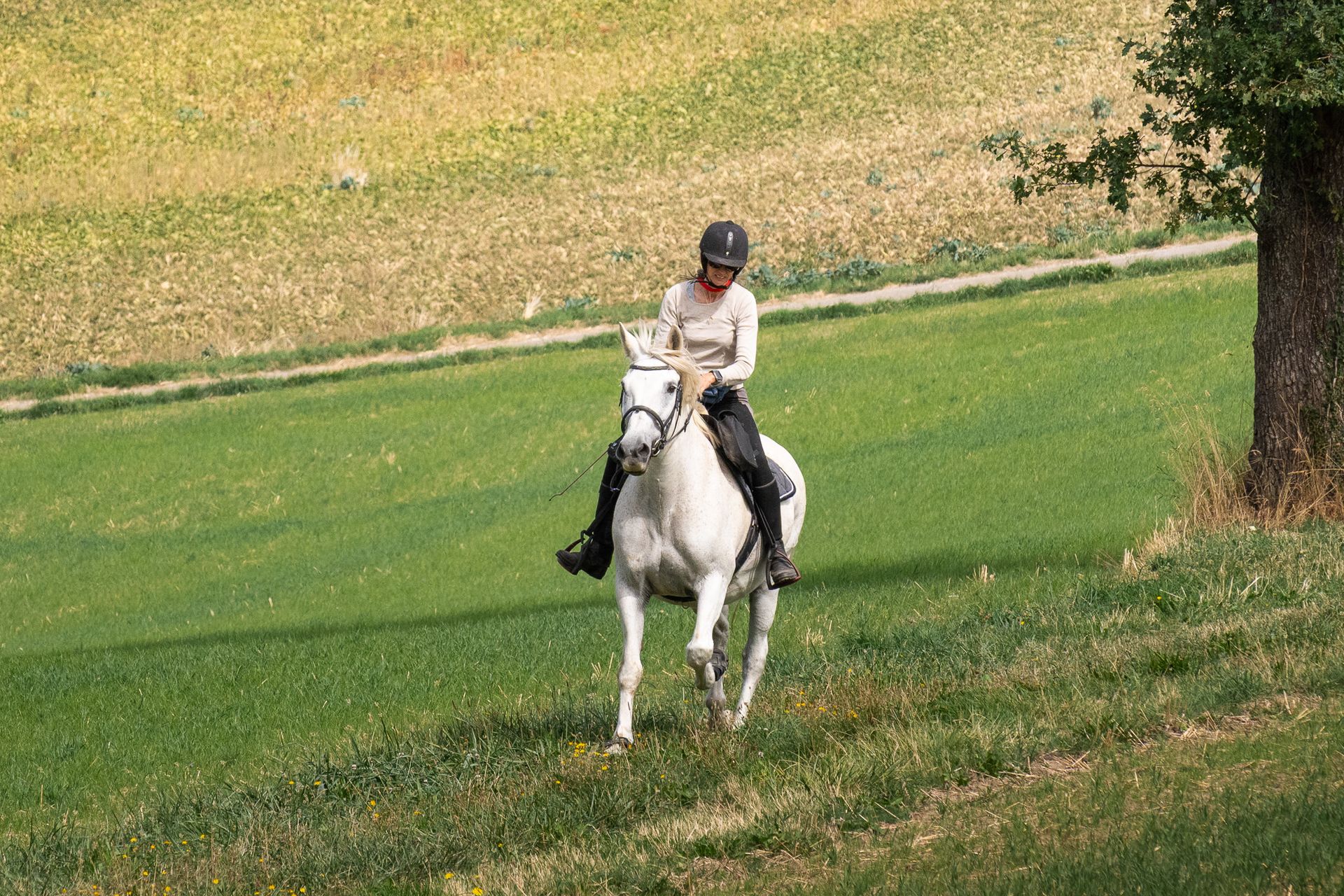 Horsestrail Combremont du 5 septembre 2026 — photo 77 du reportage PawsOnTrack