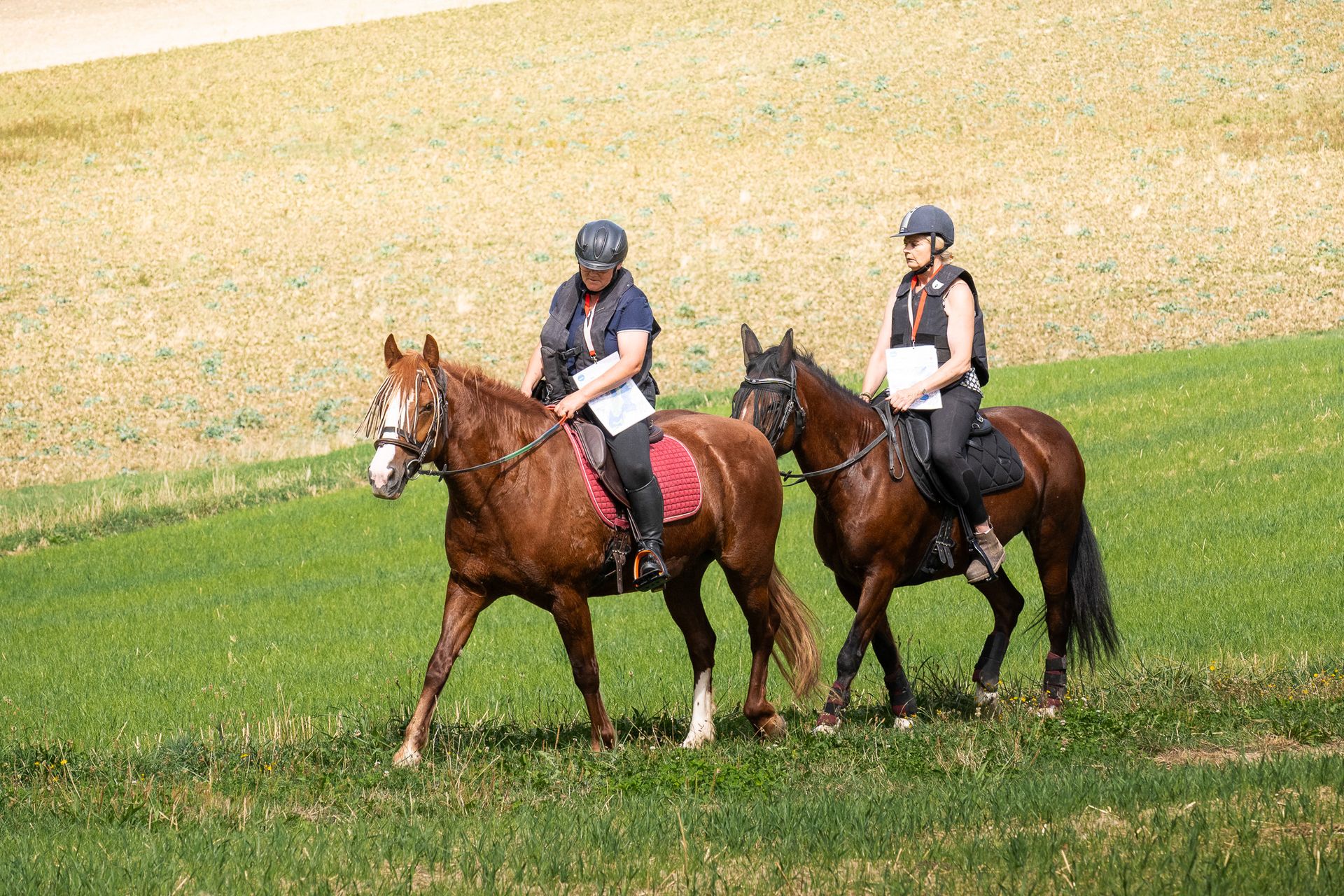 Horsestrail Combremont du 5 septembre 2026 — photo 86 du reportage PawsOnTrack