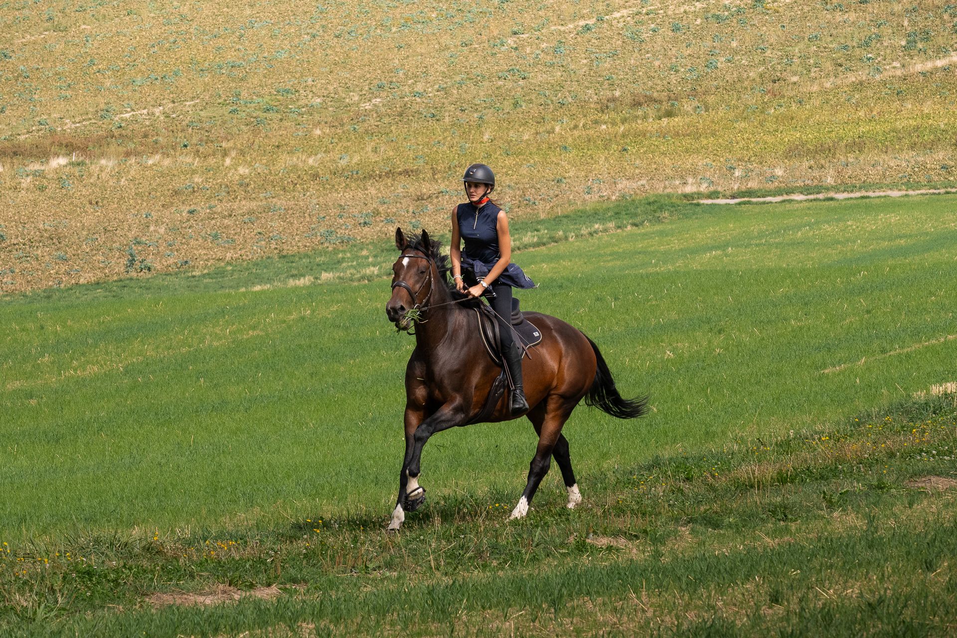 Horsestrail Combremont du 5 septembre 2026 — photo 107 du reportage PawsOnTrack