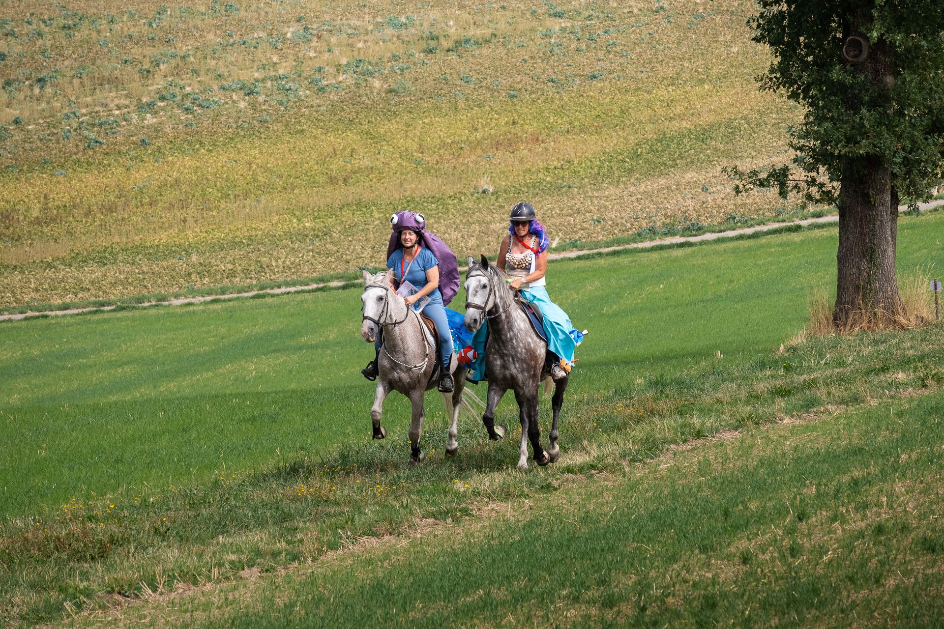 Horsestrail Combremont du 5 septembre 2026 — photo 122 du reportage PawsOnTrack