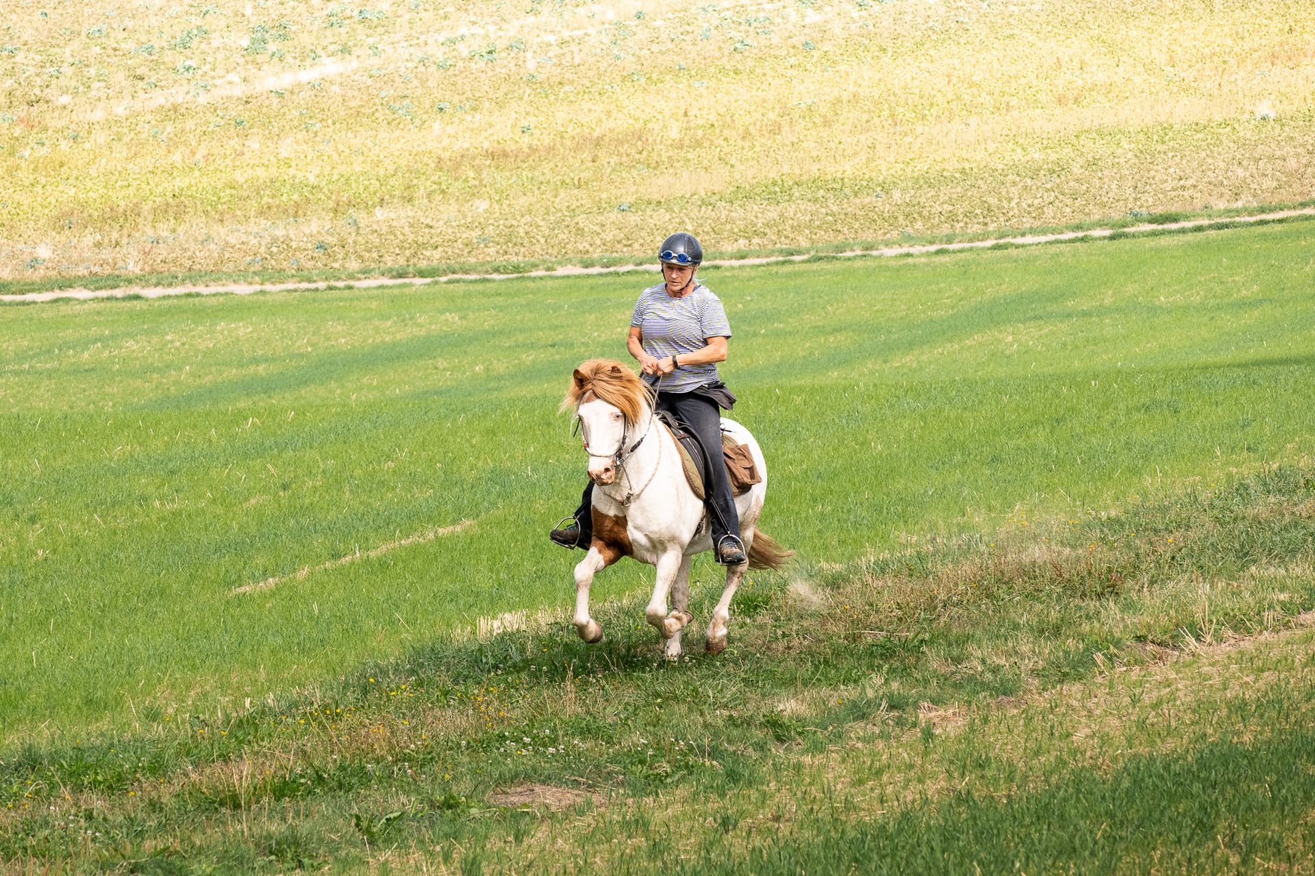 Horsestrail Combremont du 5 septembre 2026 — photo 158 du reportage PawsOnTrack