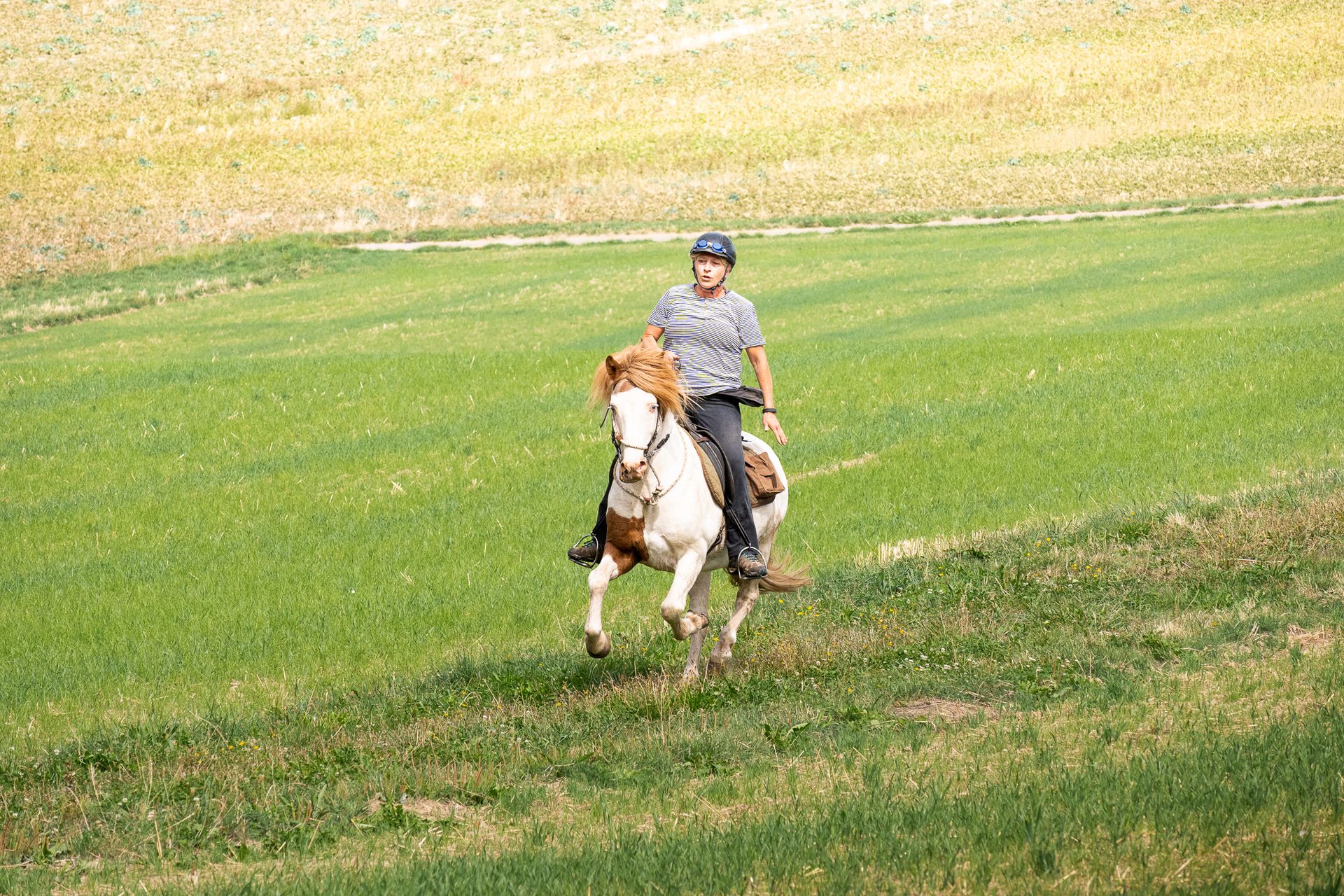 Horsestrail Combremont du 5 septembre 2026 — photo 146 du reportage PawsOnTrack