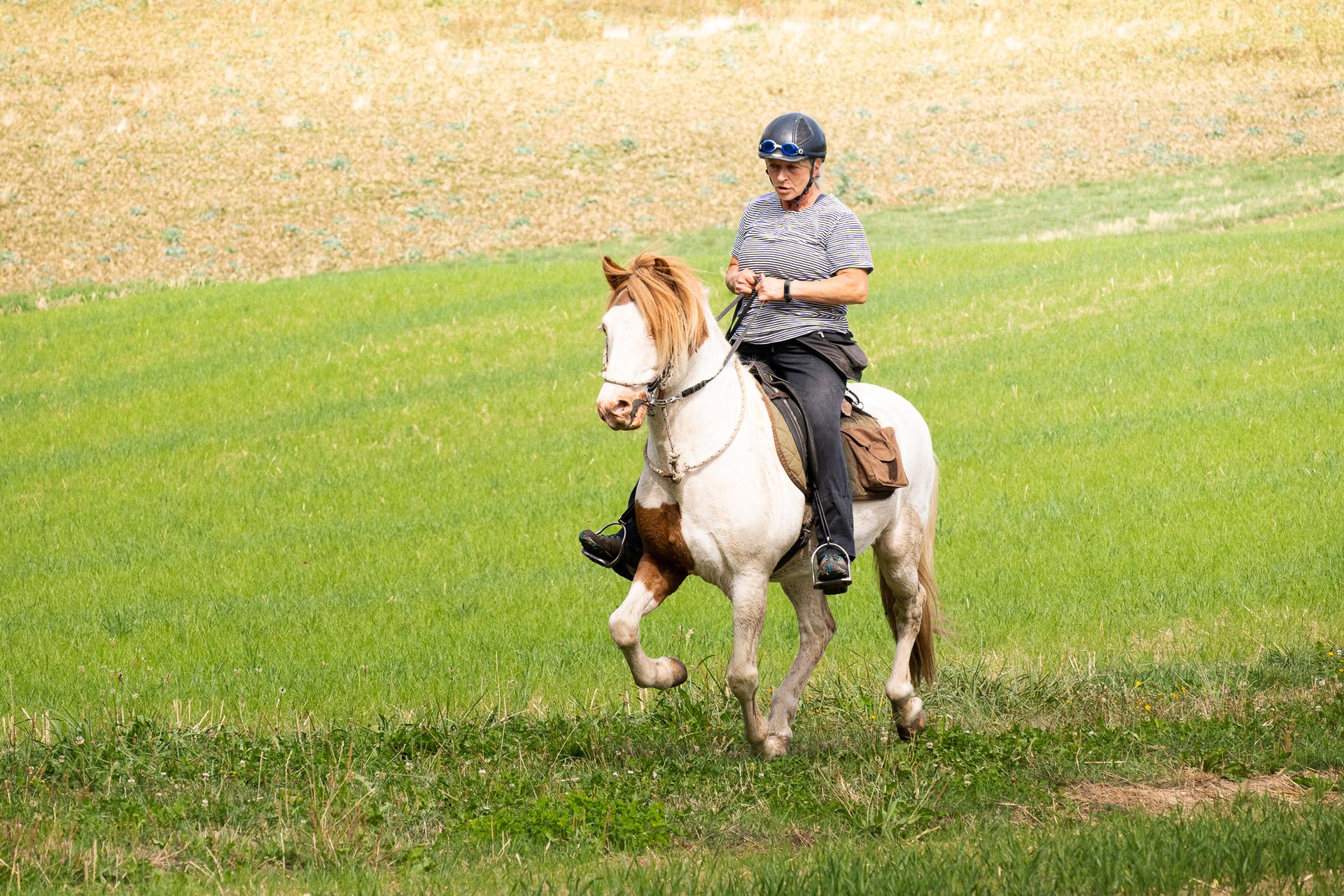 Horsestrail Combremont du 5 septembre 2026 — photo 42 du reportage PawsOnTrack