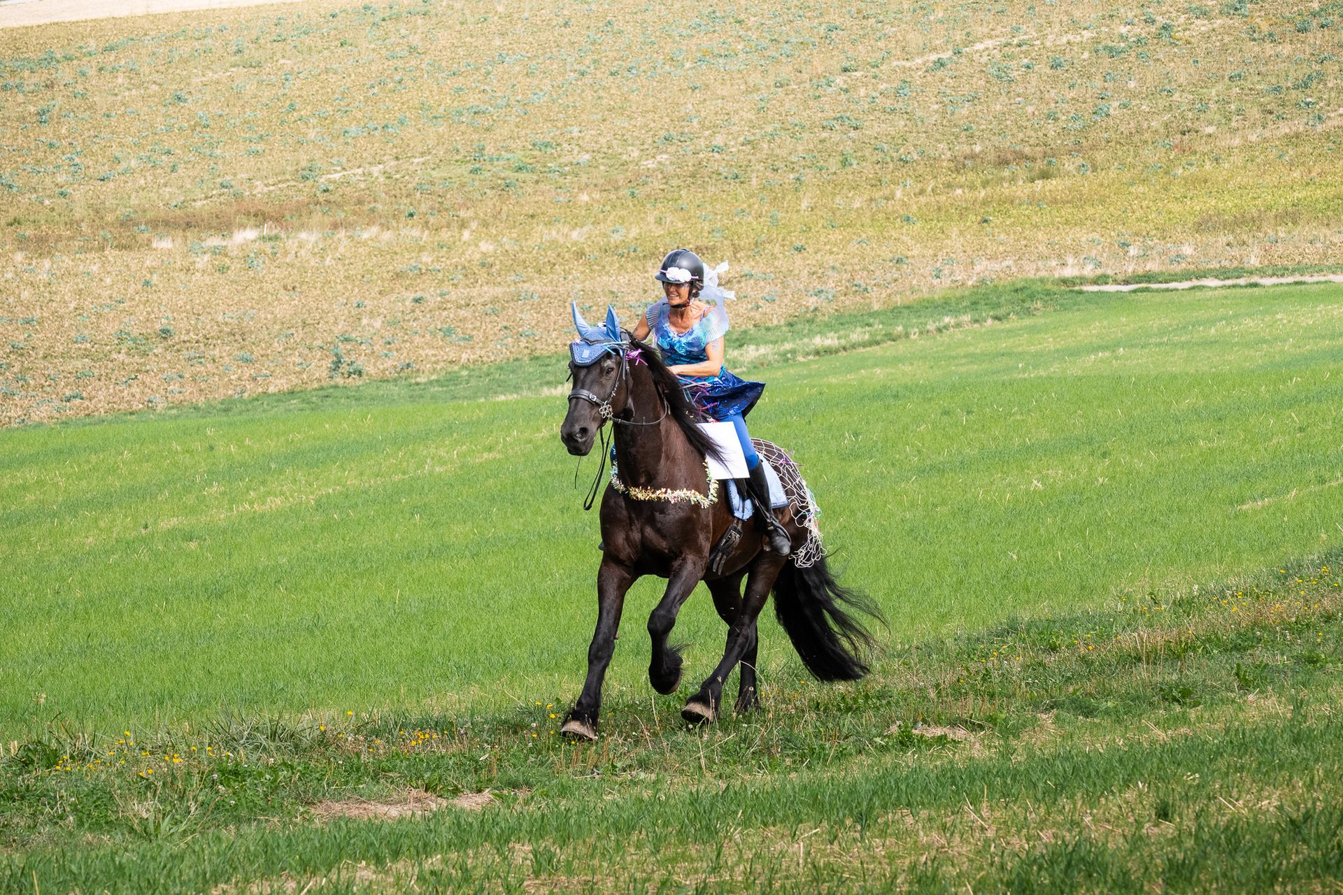 Horsestrail Combremont du 5 septembre 2026 — photo 131 du reportage PawsOnTrack