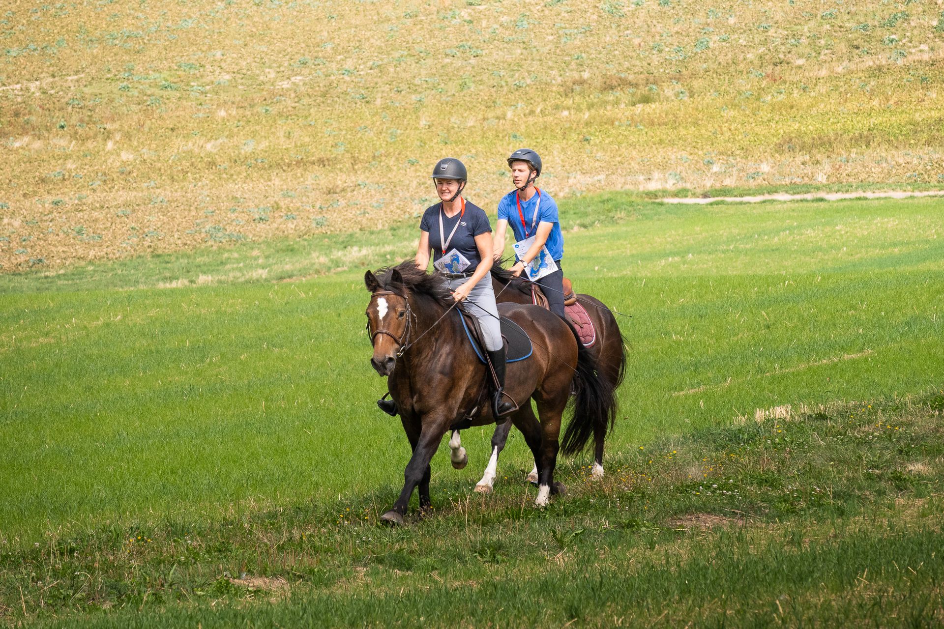 Horsestrail Combremont du 5 septembre 2026 — photo 63 du reportage PawsOnTrack
