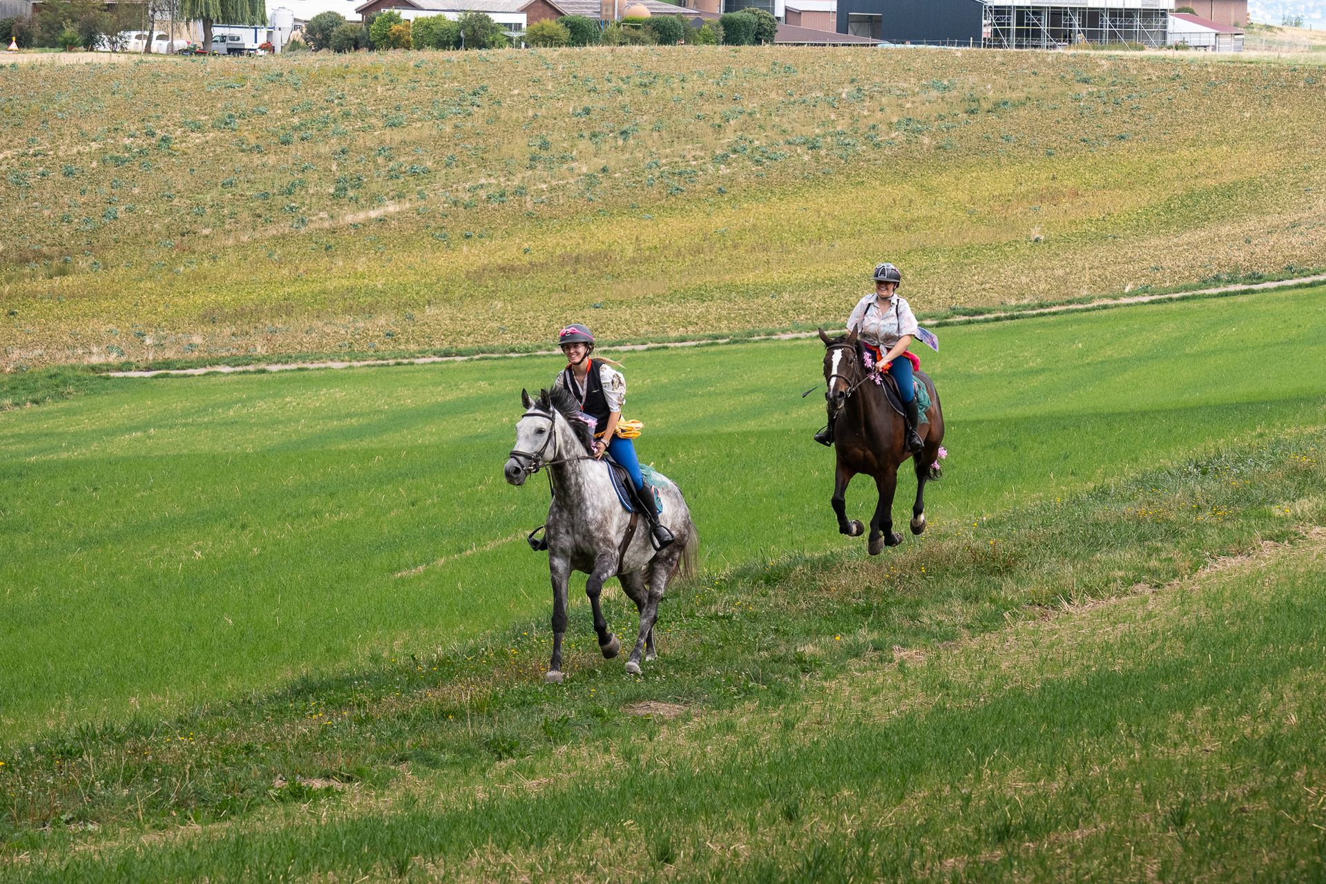 Horsestrail Combremont du 5 septembre 2026 — photo 170 du reportage PawsOnTrack