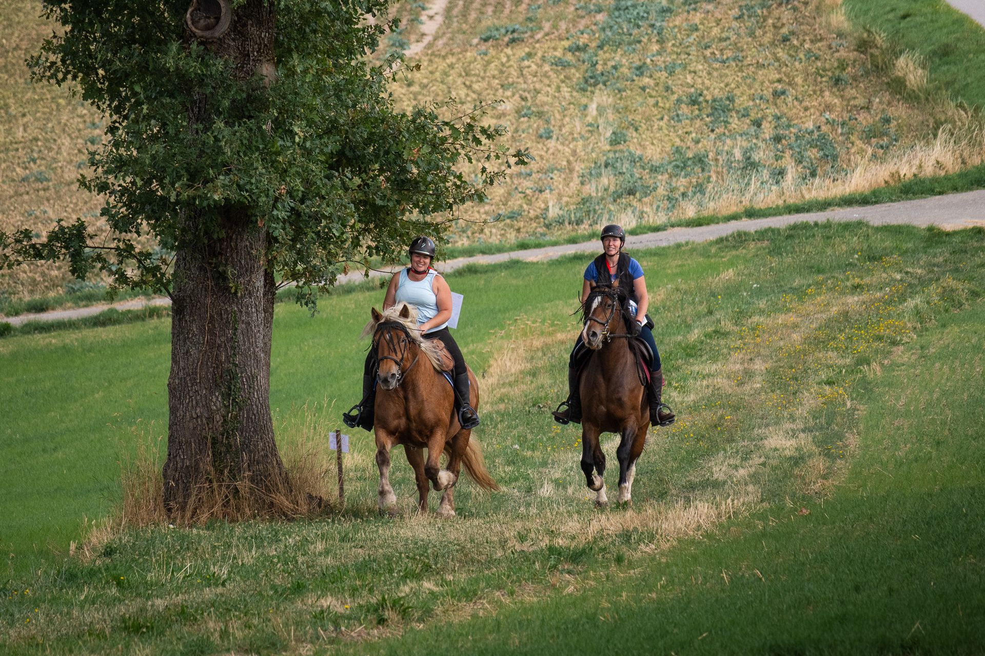 Horsestrail Combremont du 5 septembre 2026 — photo 36 du reportage PawsOnTrack