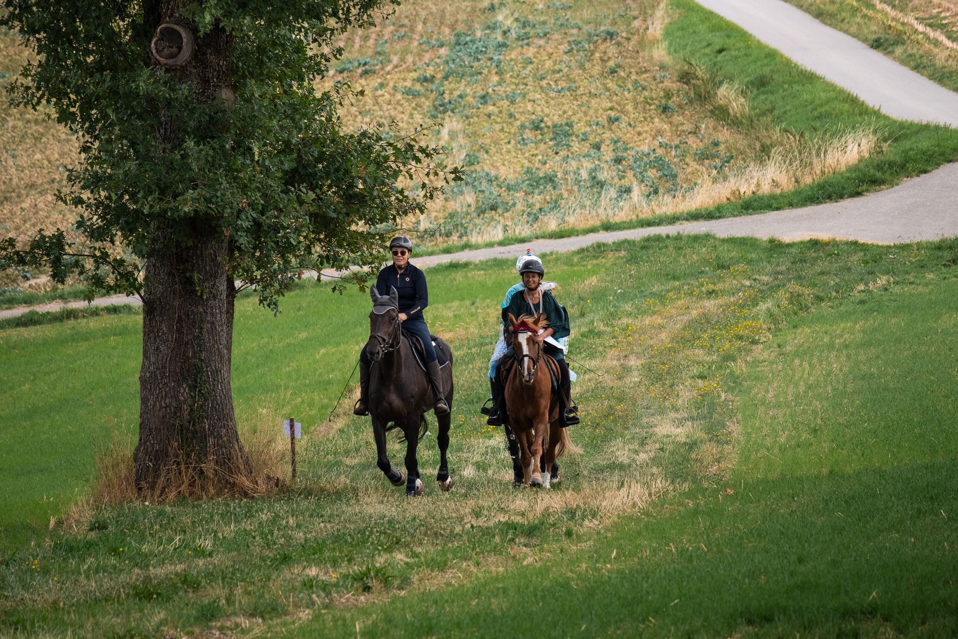 Horsestrail Combremont du 5 septembre 2026 — photo 33 du reportage PawsOnTrack