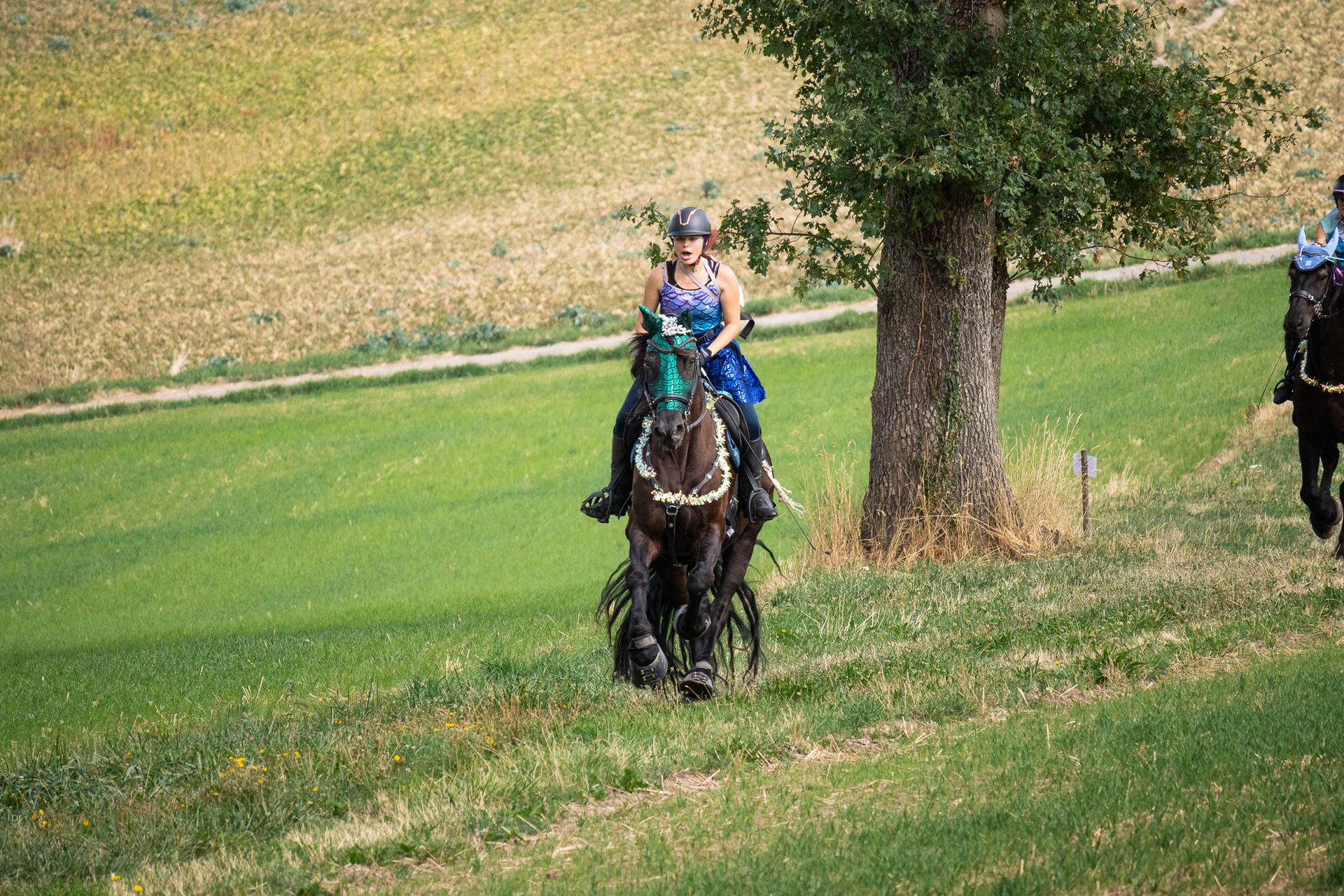Horsestrail Combremont du 5 septembre 2026 — photo 54 du reportage PawsOnTrack