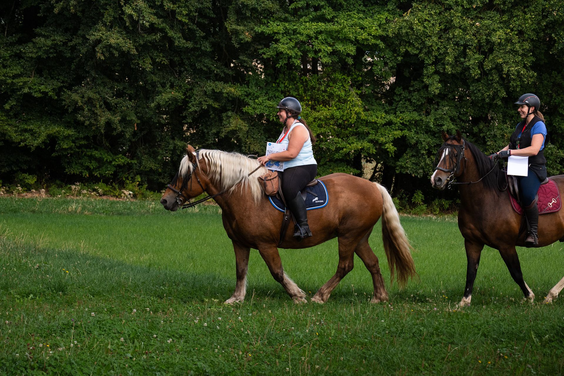 Horsestrail Combremont du 5 septembre 2026 — photo 18 du reportage PawsOnTrack