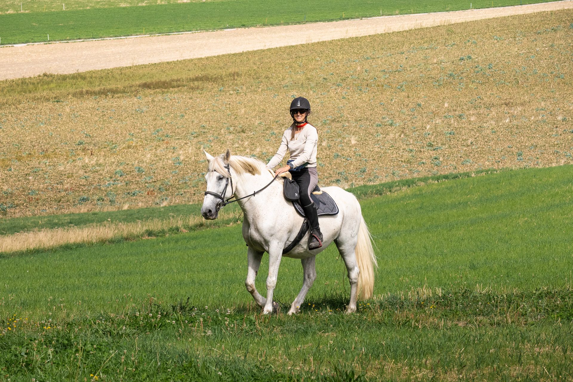 Horsestrail Combremont du 5 septembre 2026 — photo 84 du reportage PawsOnTrack