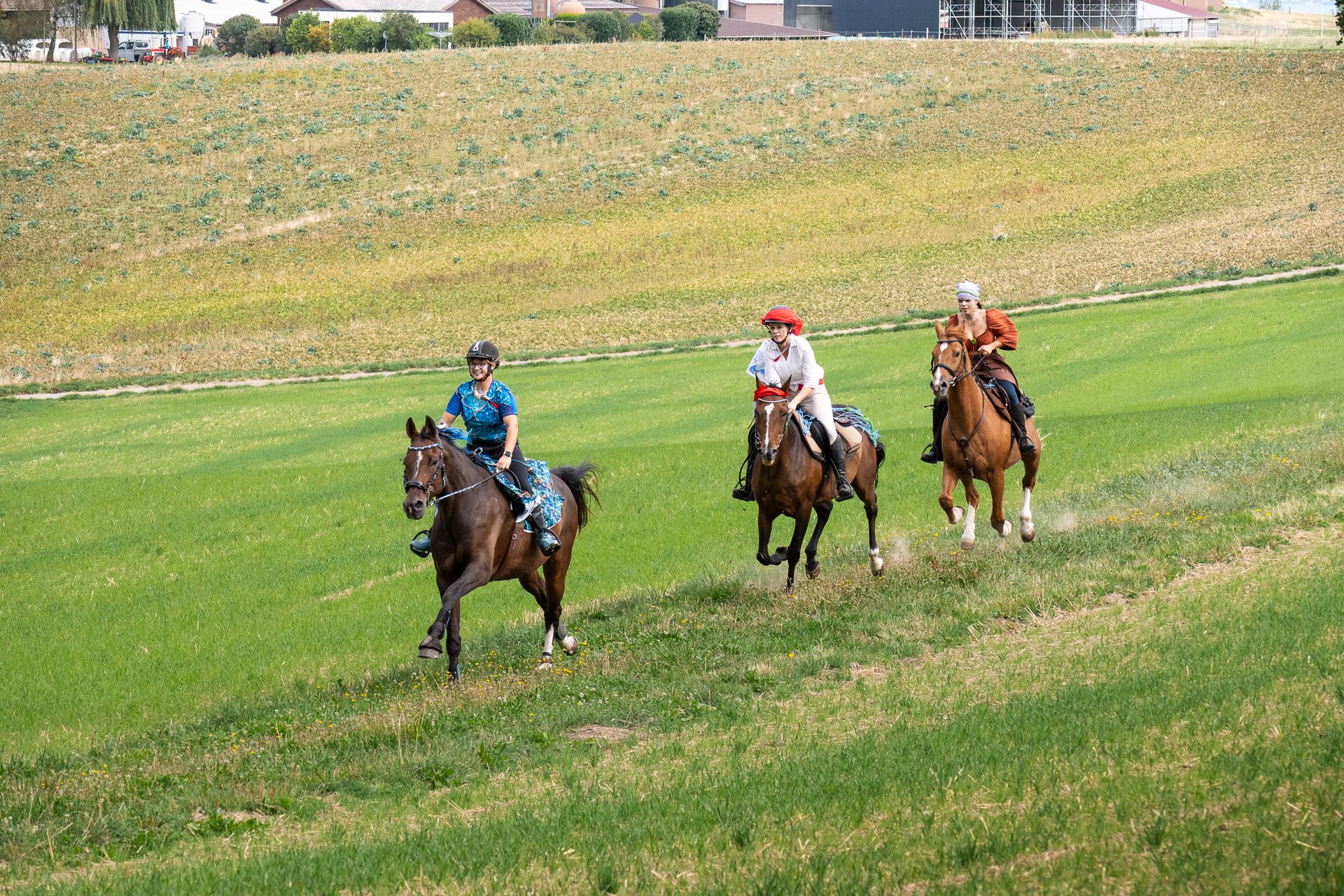 Horsestrail Combremont du 5 septembre 2026 — photo 185 du reportage PawsOnTrack