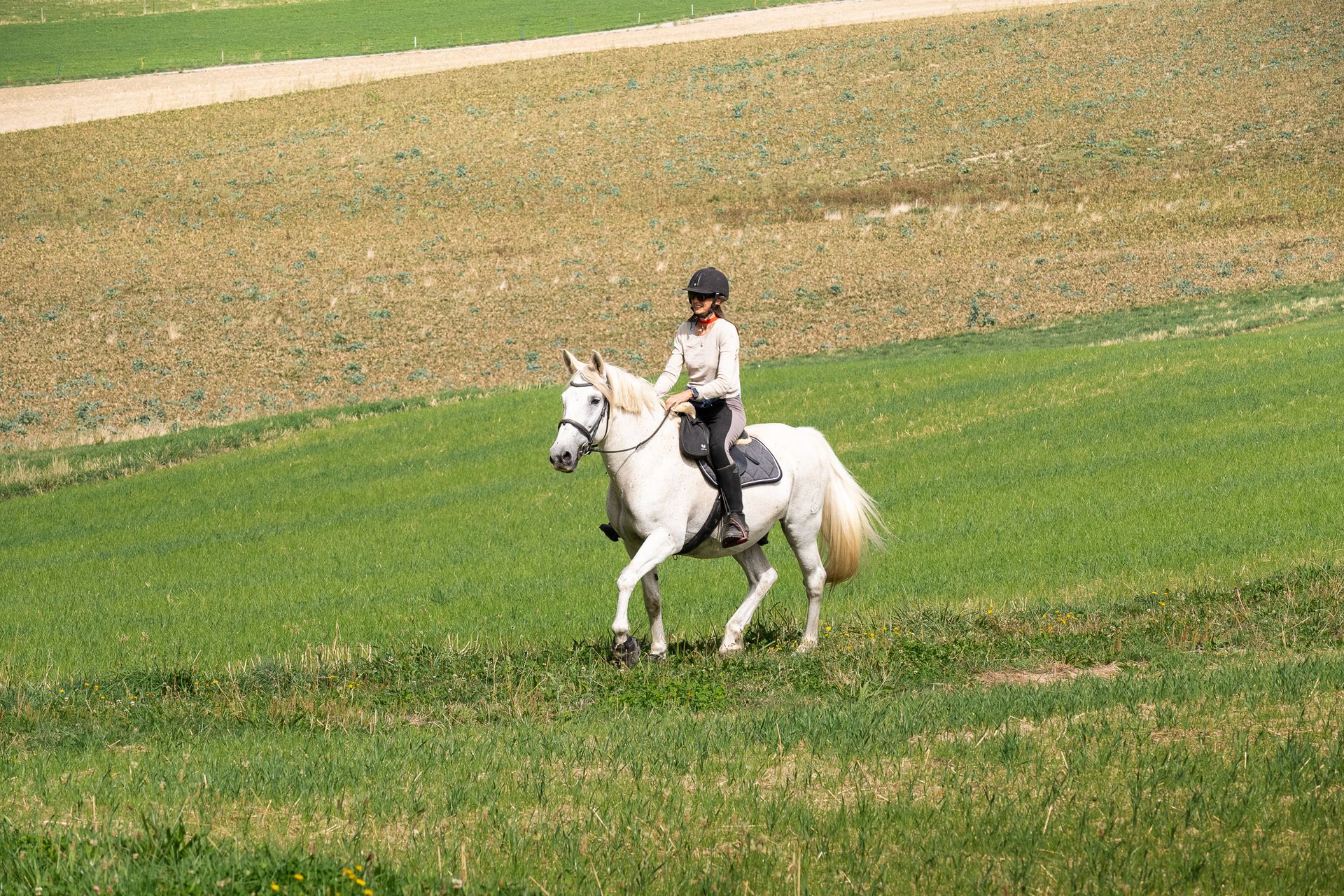 Horsestrail Combremont du 5 septembre 2026 — photo 179 du reportage PawsOnTrack