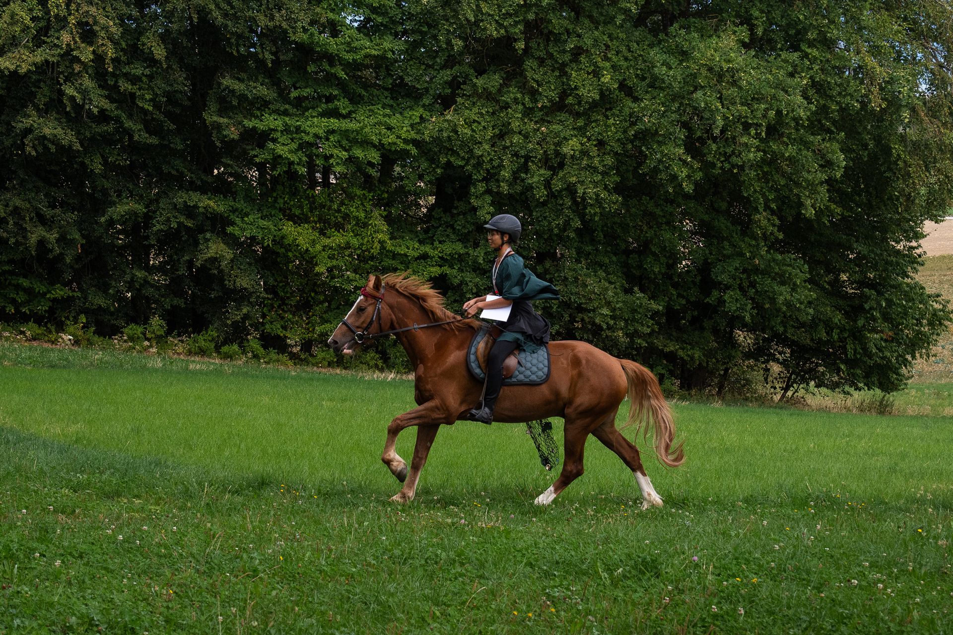 Horsestrail Combremont du 5 septembre 2026 — photo 90 du reportage PawsOnTrack