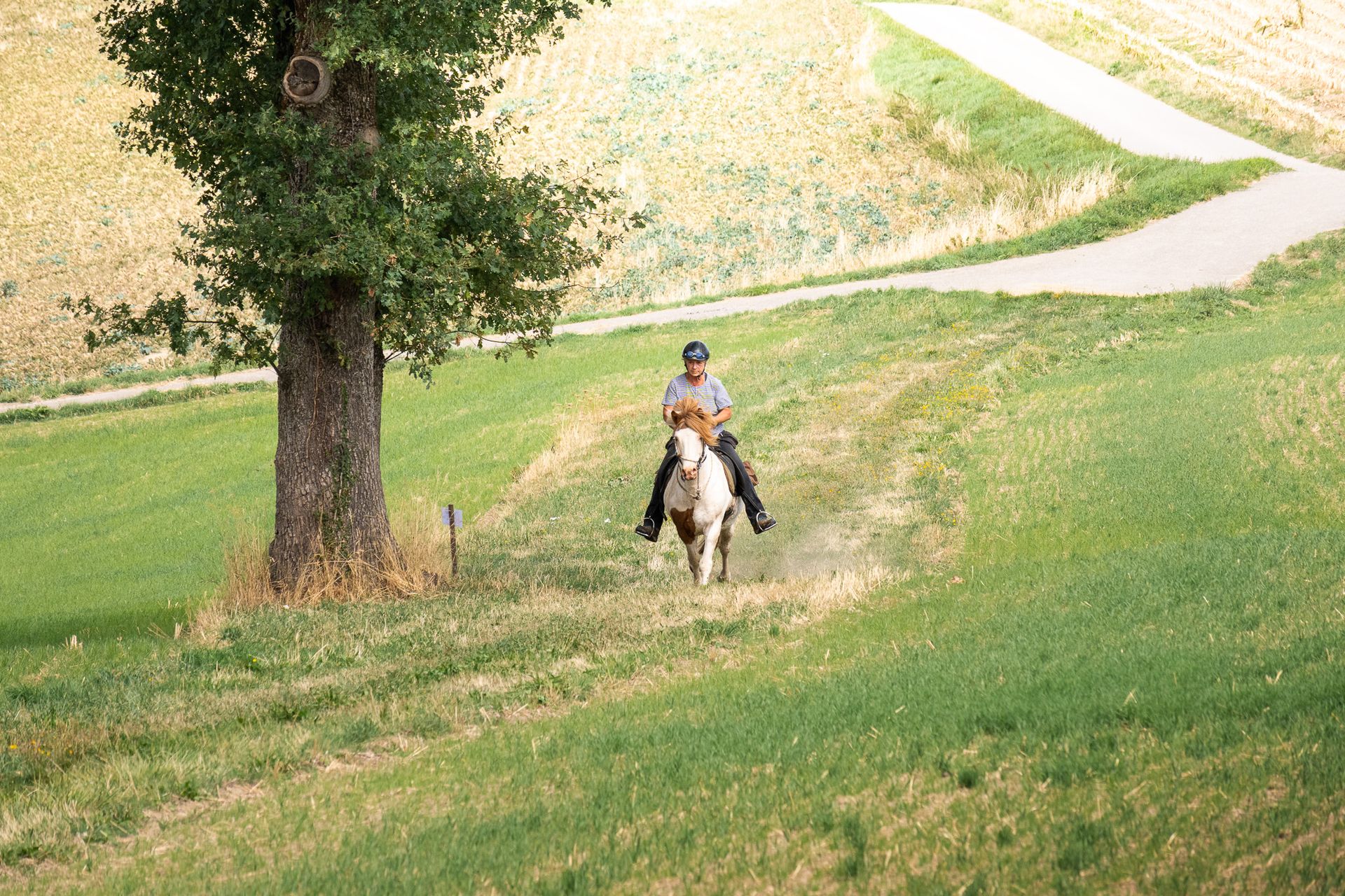Horsestrail Combremont du 5 septembre 2026 — photo 93 du reportage PawsOnTrack