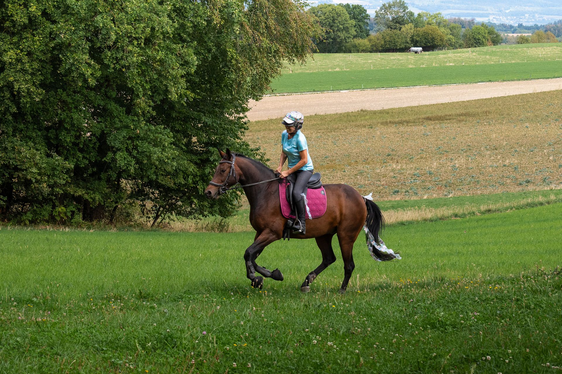 Horsestrail Combremont du 5 septembre 2026 — photo 165 du reportage PawsOnTrack