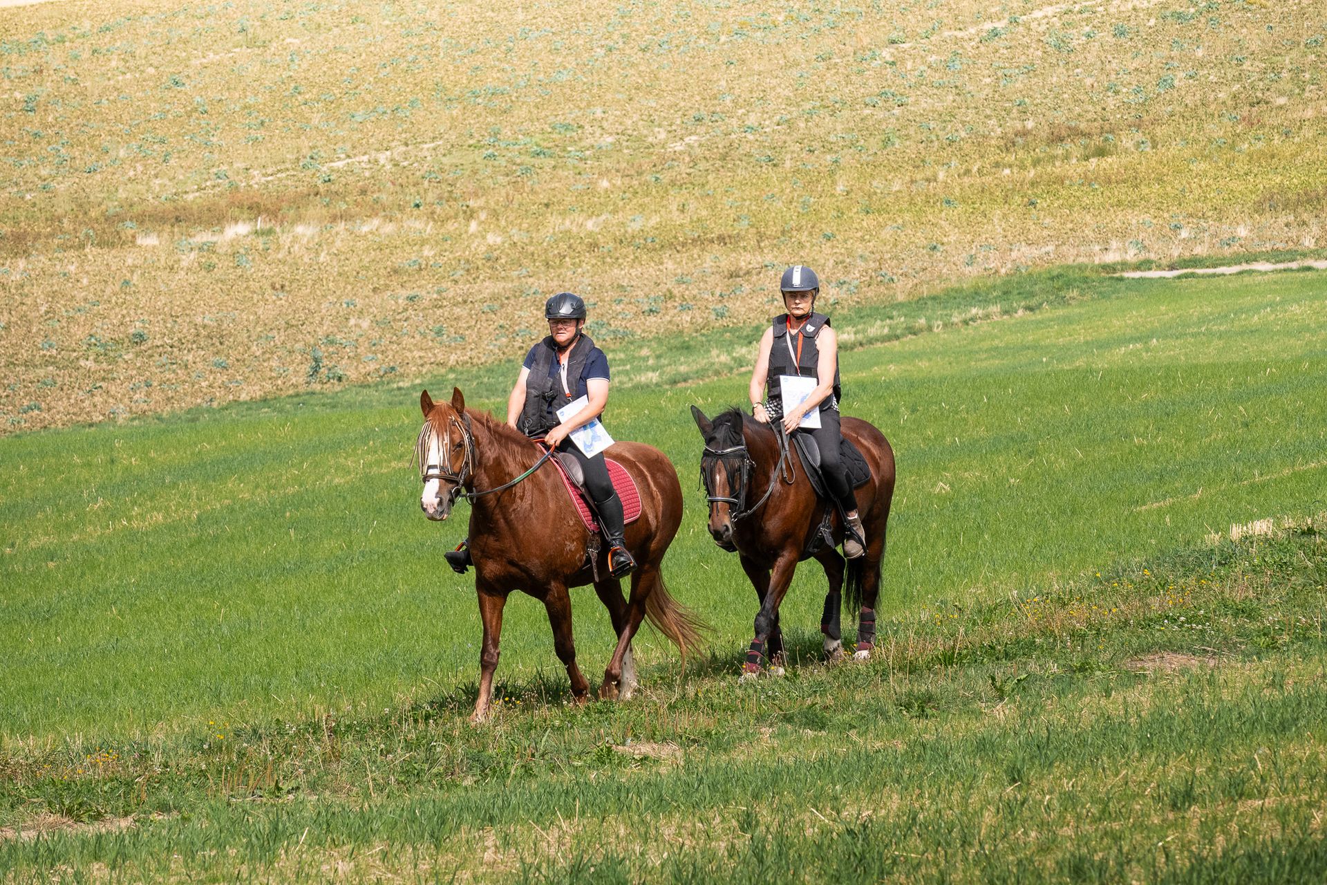Horsestrail Combremont du 5 septembre 2026 — photo 161 du reportage PawsOnTrack