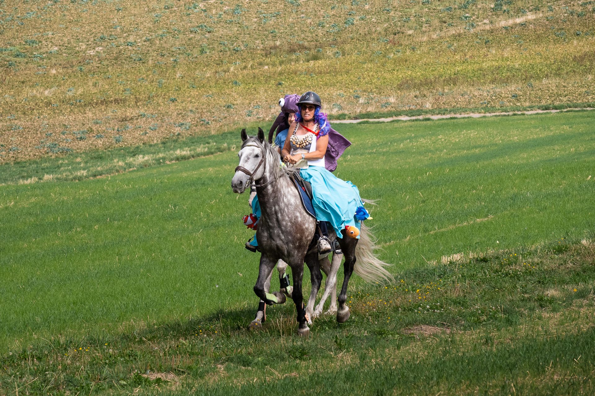 Horsestrail Combremont du 5 septembre 2026 — photo 105 du reportage PawsOnTrack