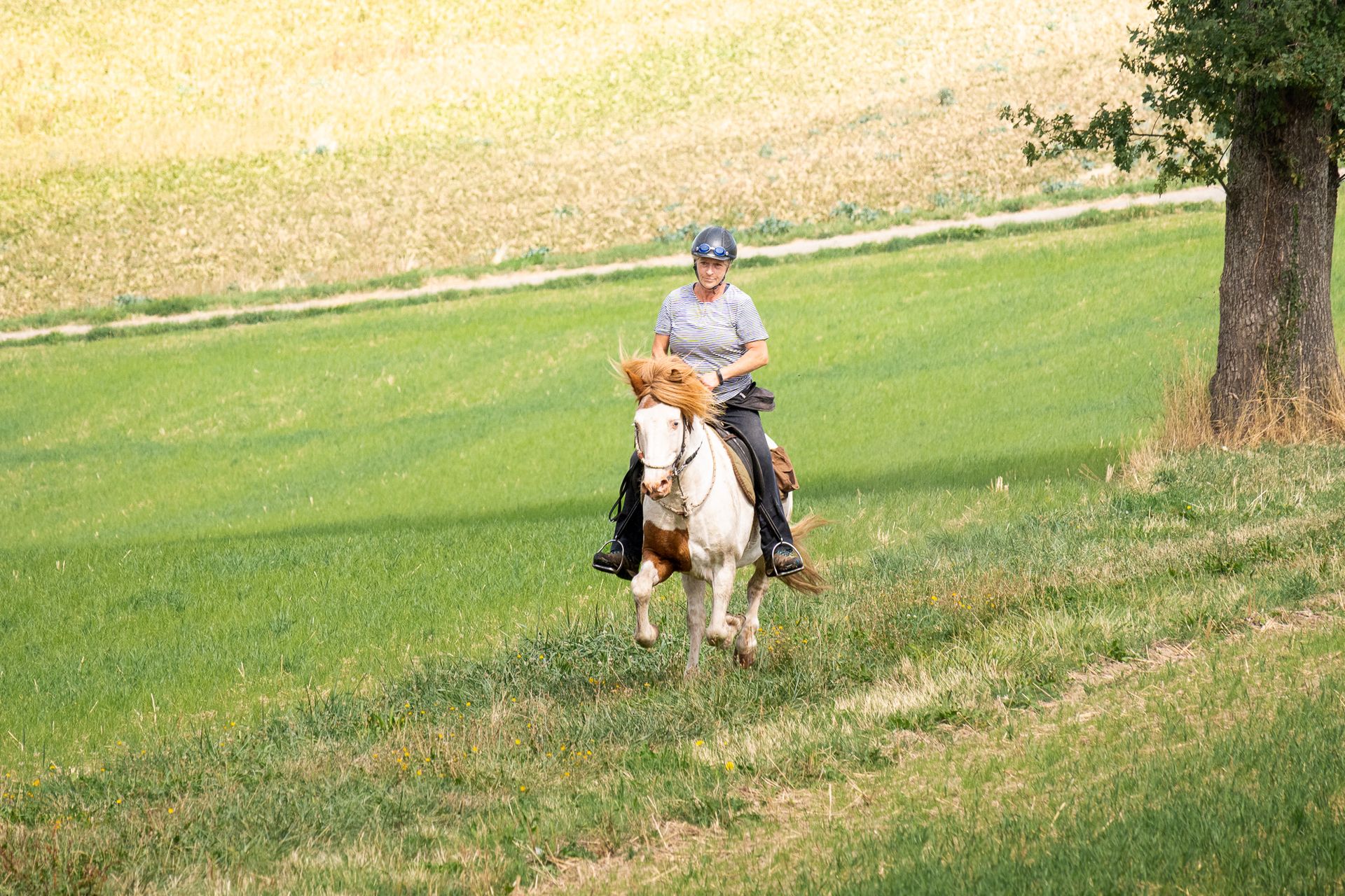 Horsestrail Combremont du 5 septembre 2026 — photo 28 du reportage PawsOnTrack