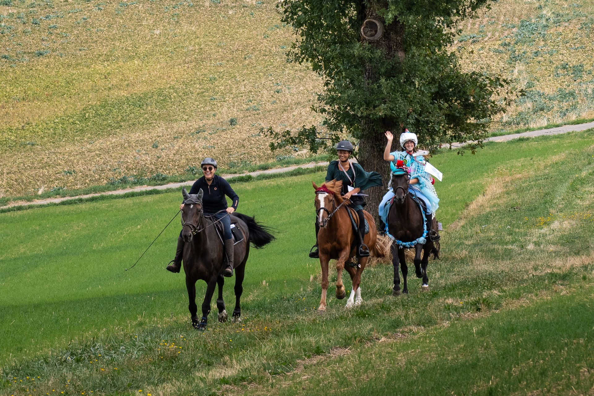 Horsestrail Combremont du 5 septembre 2026 — photo 141 du reportage PawsOnTrack
