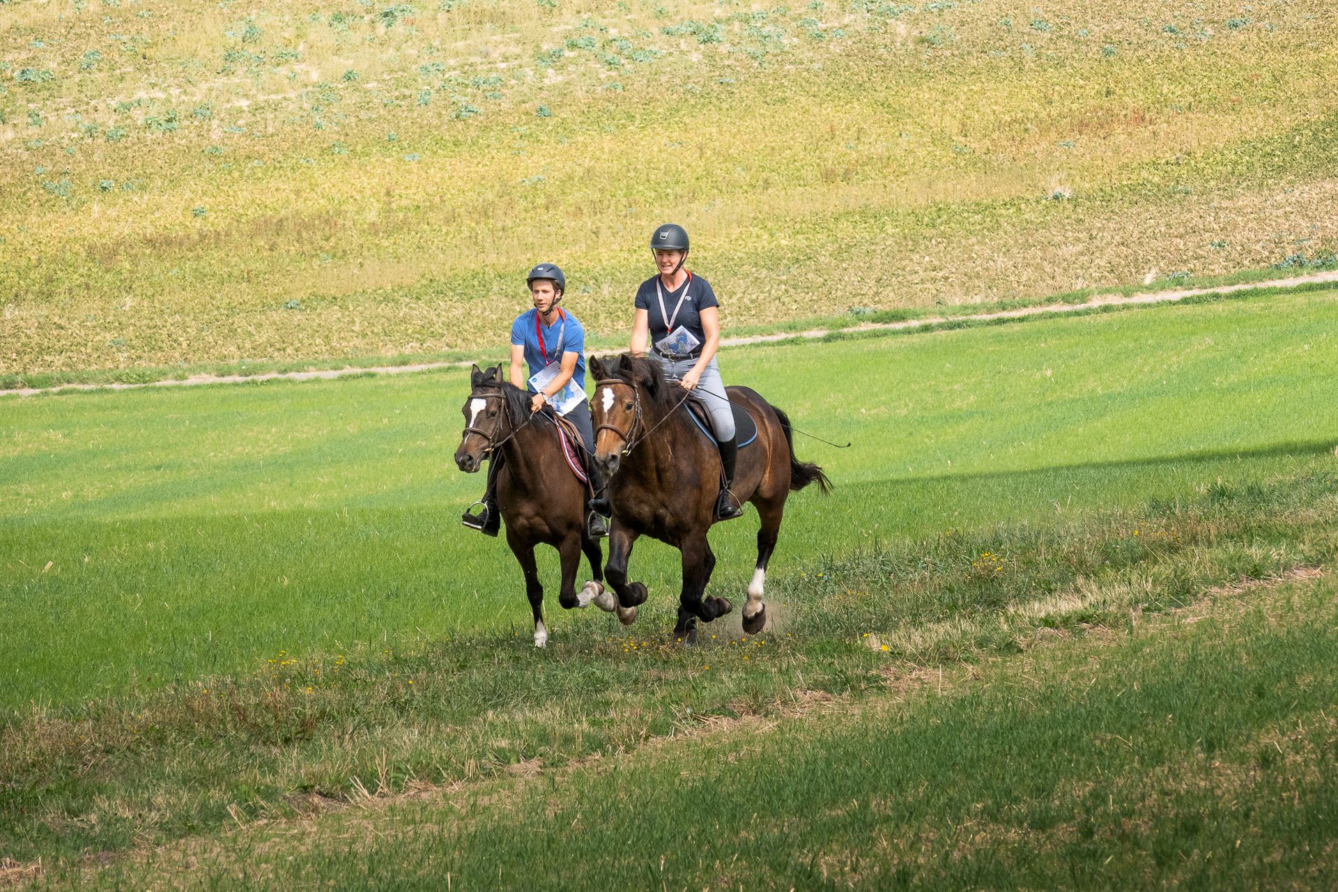 Horsestrail Combremont du 5 septembre 2026 — photo 138 du reportage PawsOnTrack