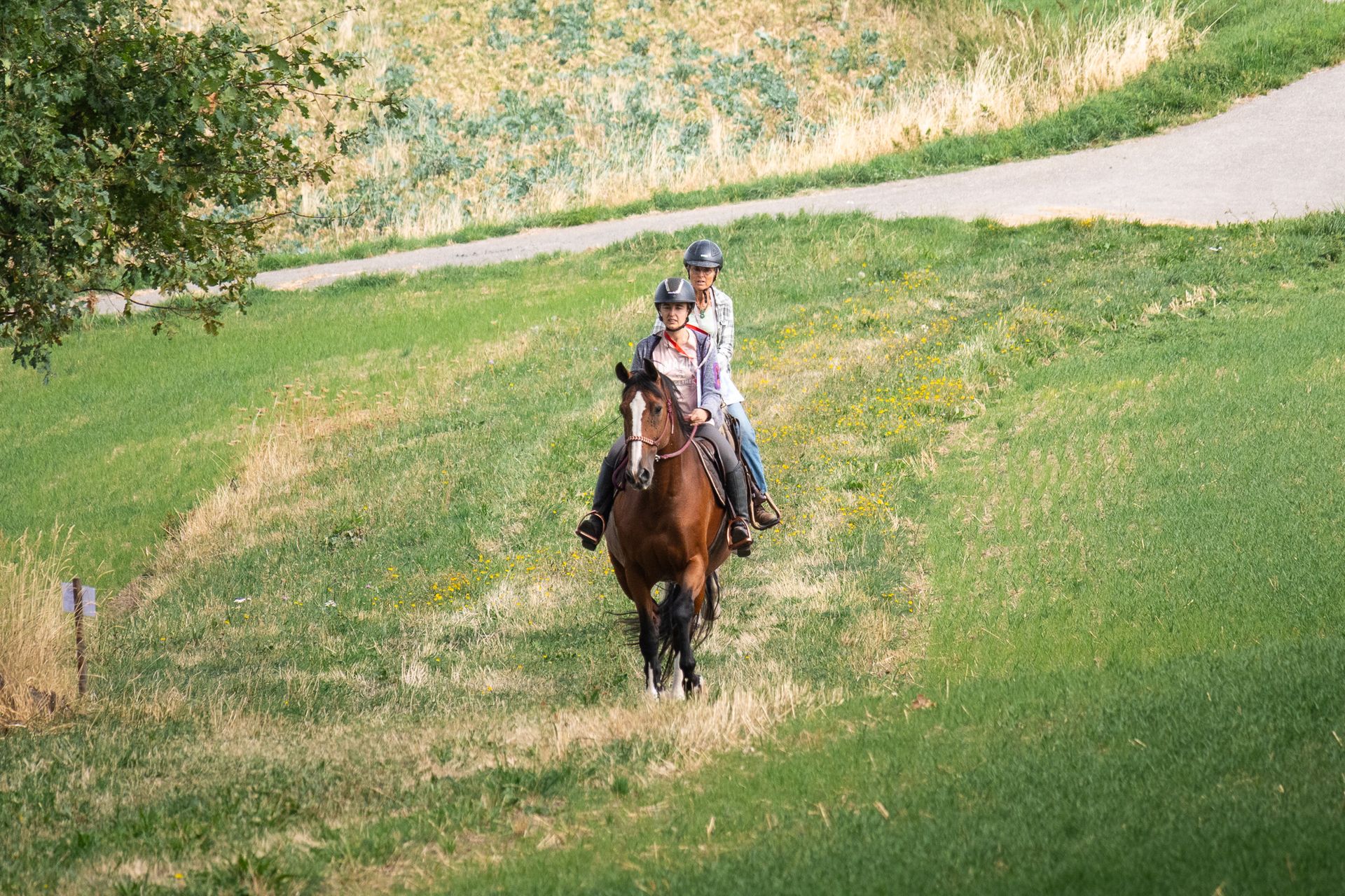 Horsestrail Combremont du 5 septembre 2026 — photo 67 du reportage PawsOnTrack