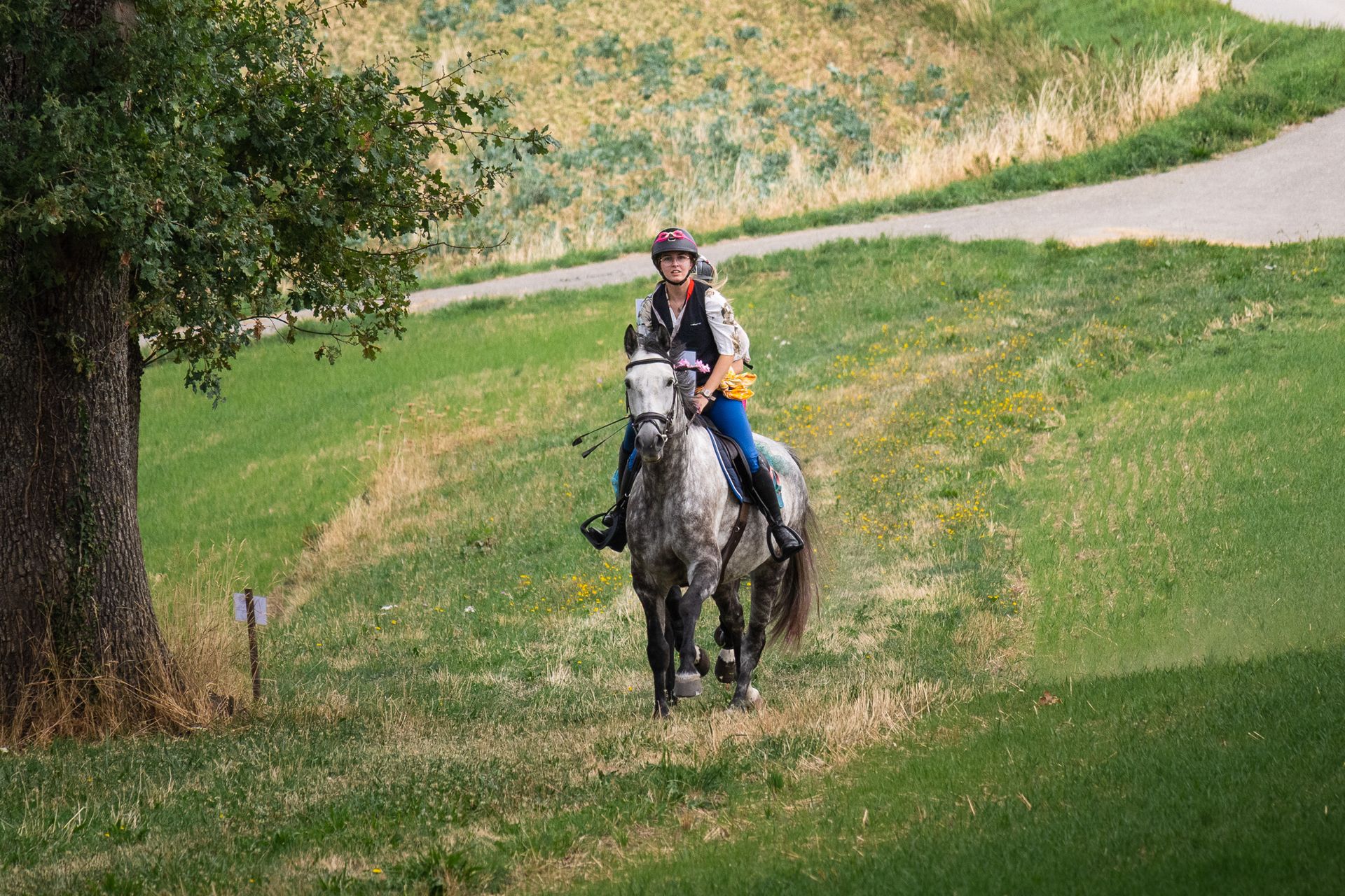 Horsestrail Combremont du 5 septembre 2026 — photo 37 du reportage PawsOnTrack