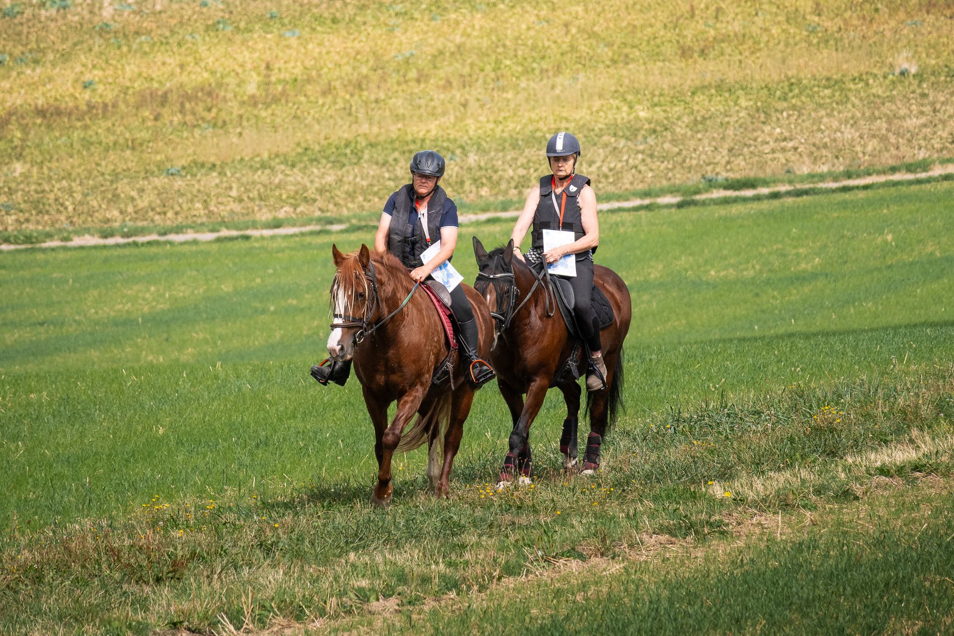 Horsestrail Combremont du 5 septembre 2026 — photo 25 du reportage PawsOnTrack