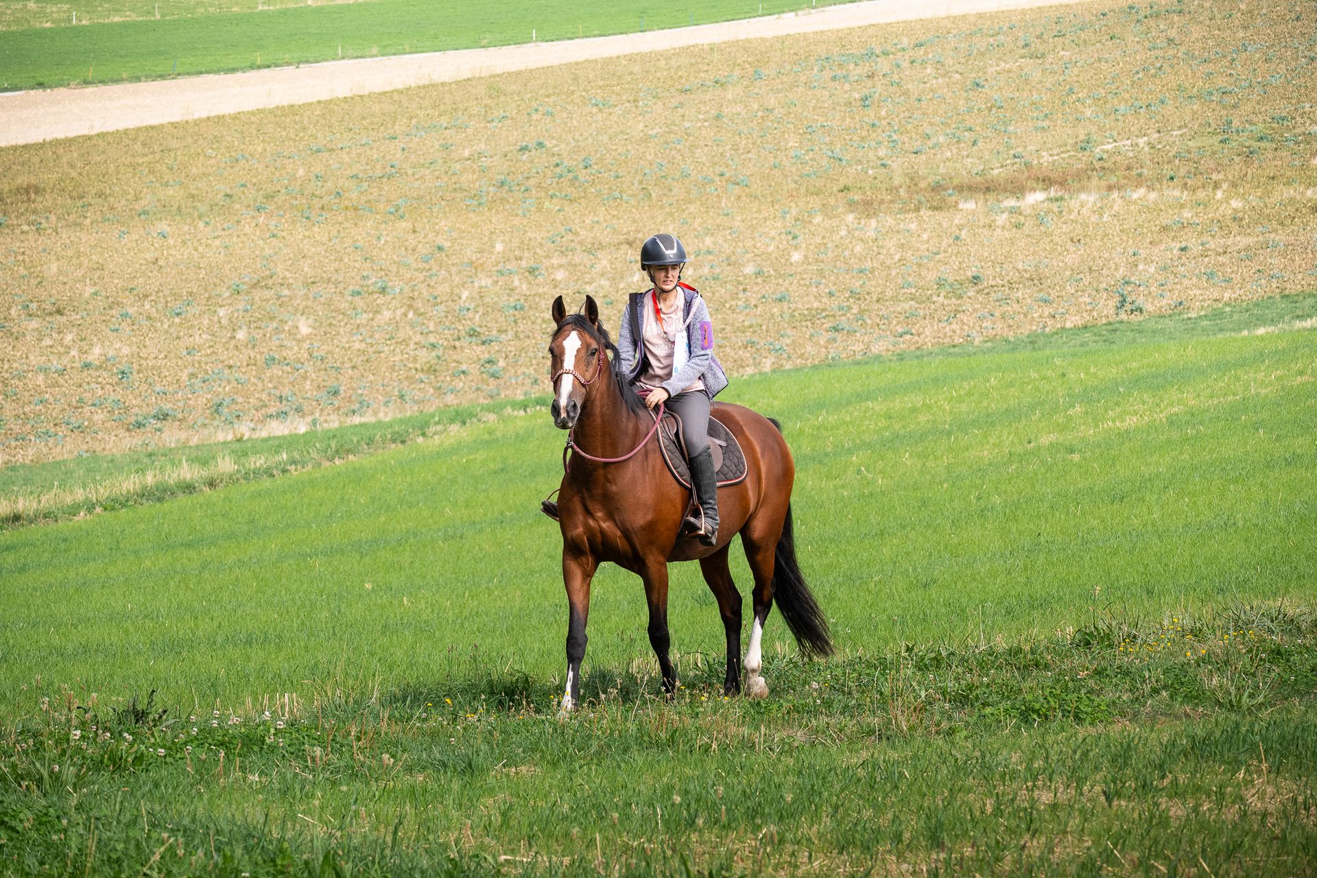 Horsestrail Combremont du 5 septembre 2026 — photo 64 du reportage PawsOnTrack