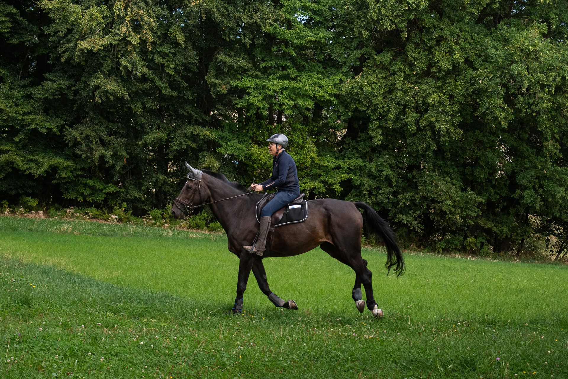 Horsestrail Combremont du 5 septembre 2026 — photo 144 du reportage PawsOnTrack