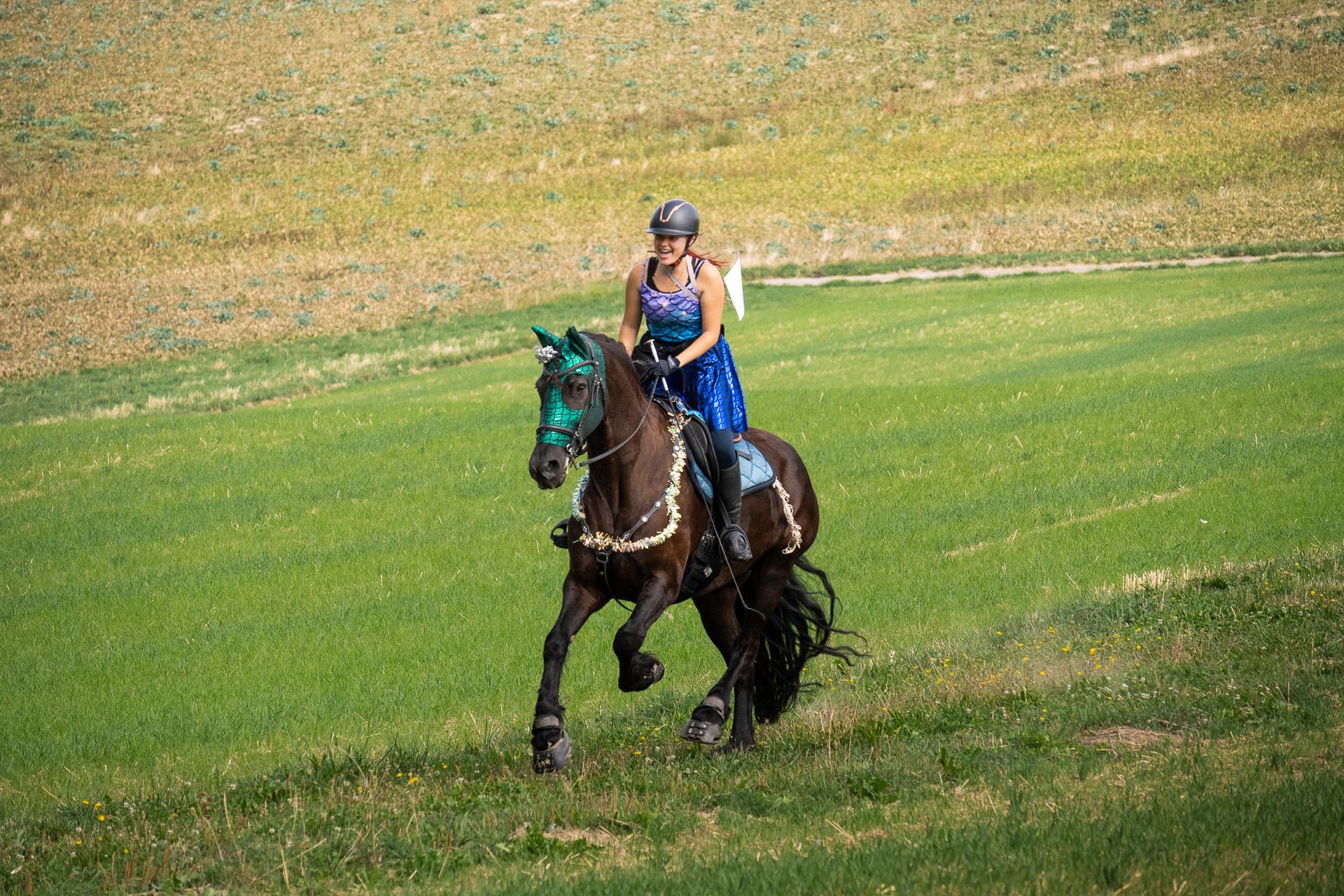 Horsestrail Combremont du 5 septembre 2026 — photo 46 du reportage PawsOnTrack