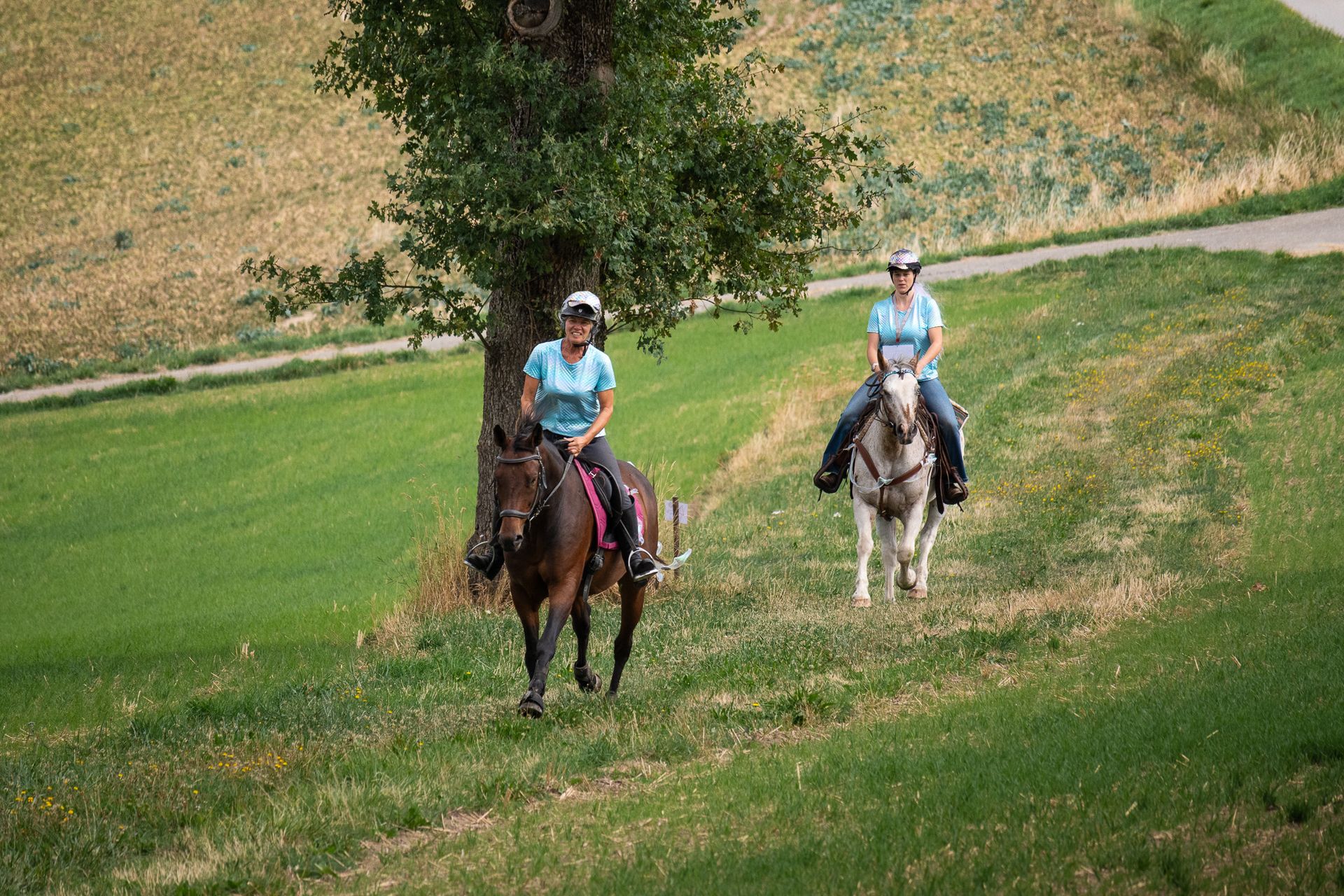 Horsestrail Combremont du 5 septembre 2026 — photo 34 du reportage PawsOnTrack