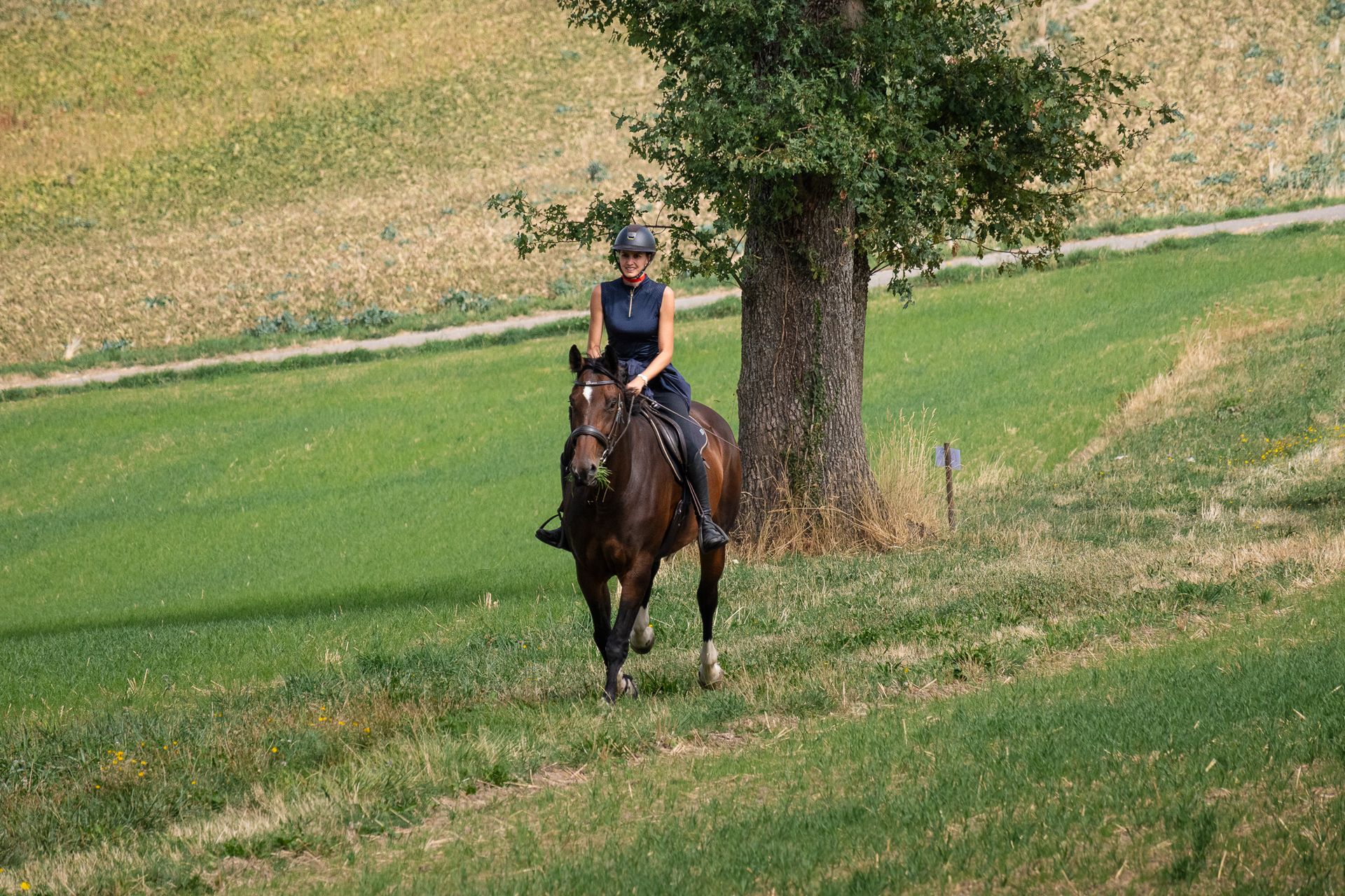 Horsestrail Combremont du 5 septembre 2026 — photo 49 du reportage PawsOnTrack