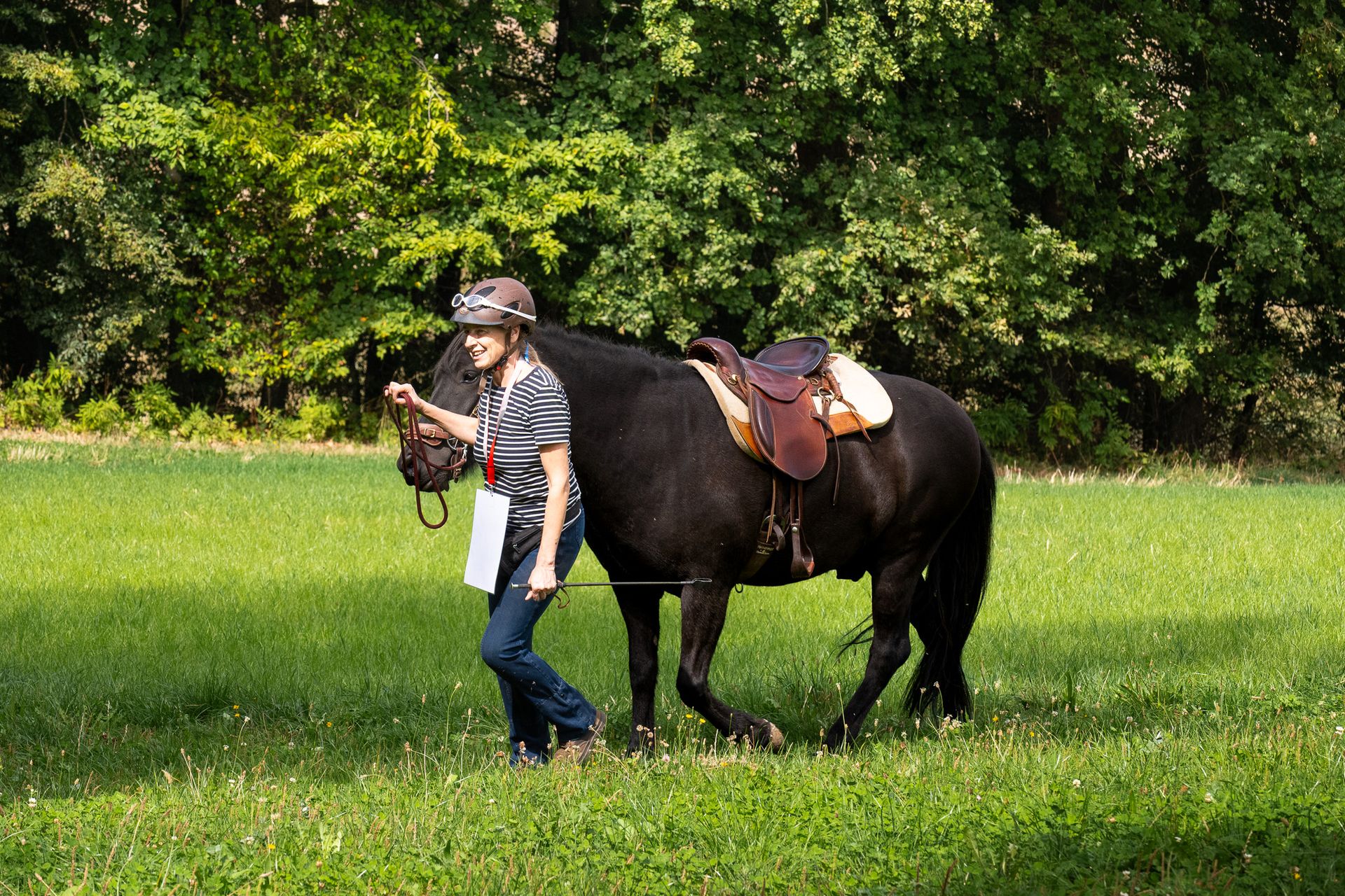 Horsestrail Combremont du 5 septembre 2026 — photo 150 du reportage PawsOnTrack