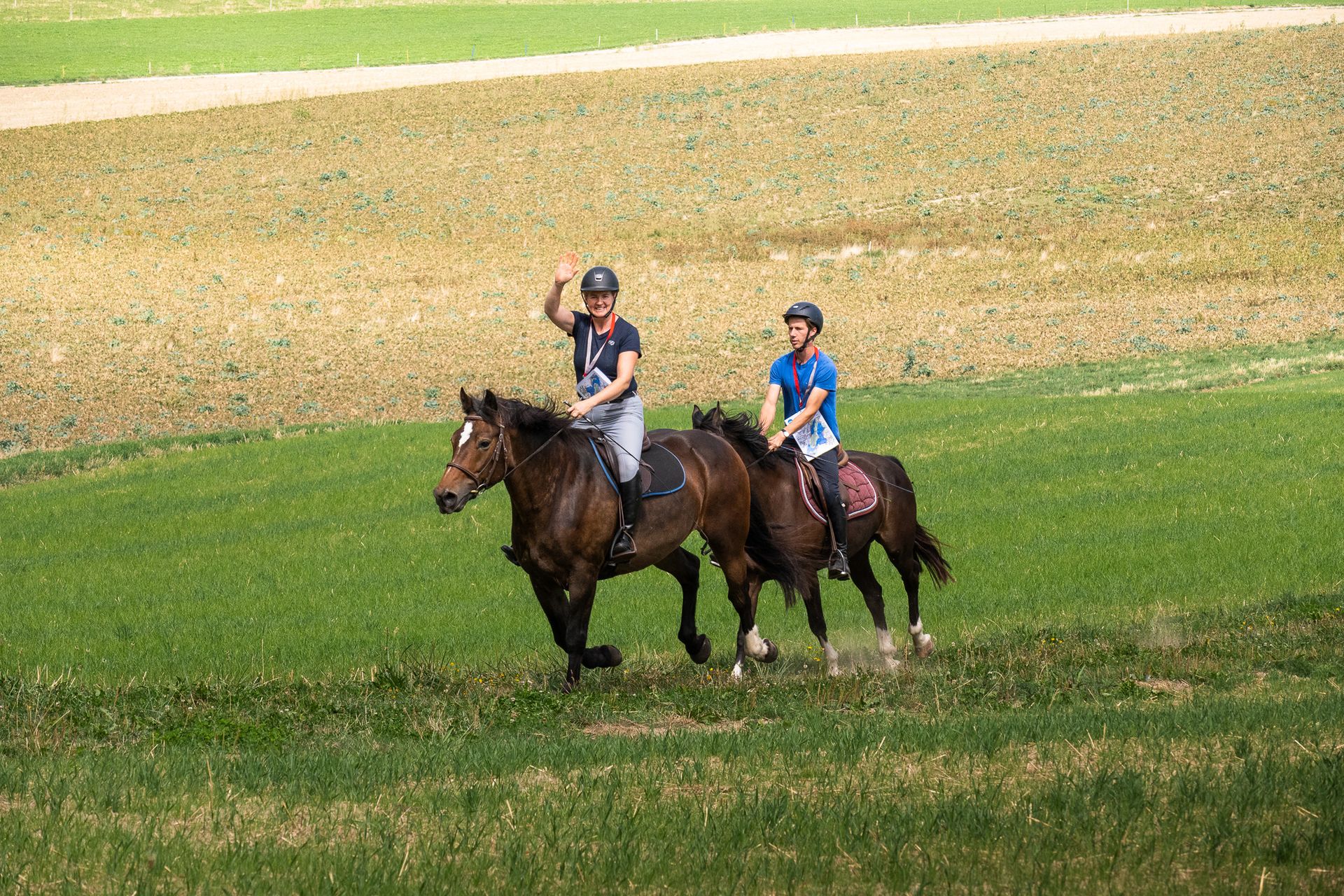 Horsestrail Combremont du 5 septembre 2026 — photo 168 du reportage PawsOnTrack