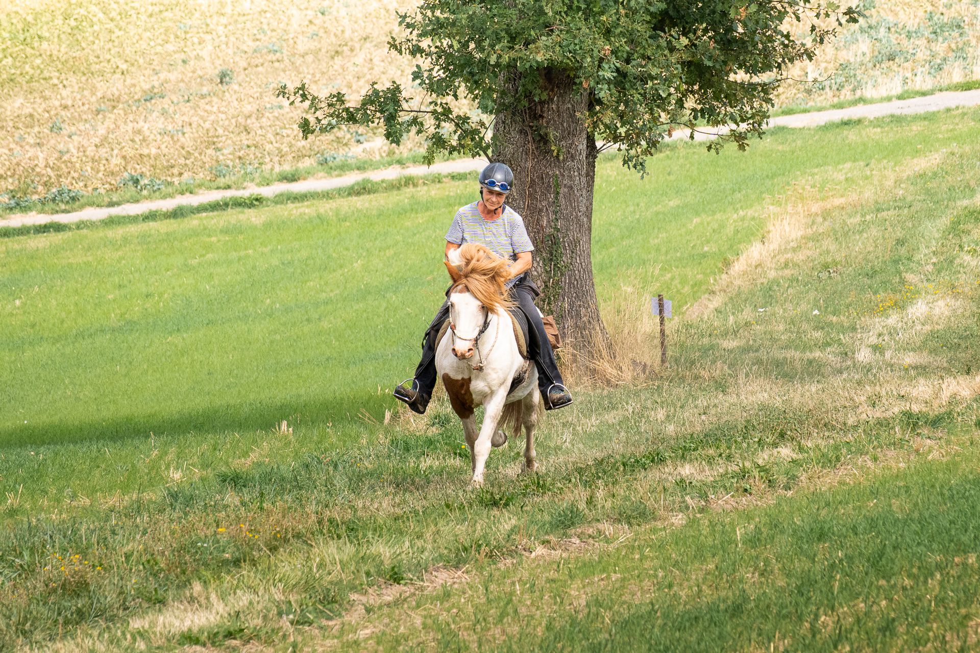 Horsestrail Combremont du 5 septembre 2026 — photo 94 du reportage PawsOnTrack
