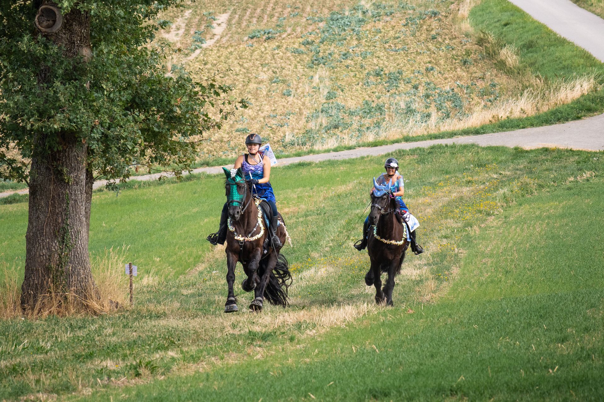 Horsestrail Combremont du 5 septembre 2026 — photo 73 du reportage PawsOnTrack